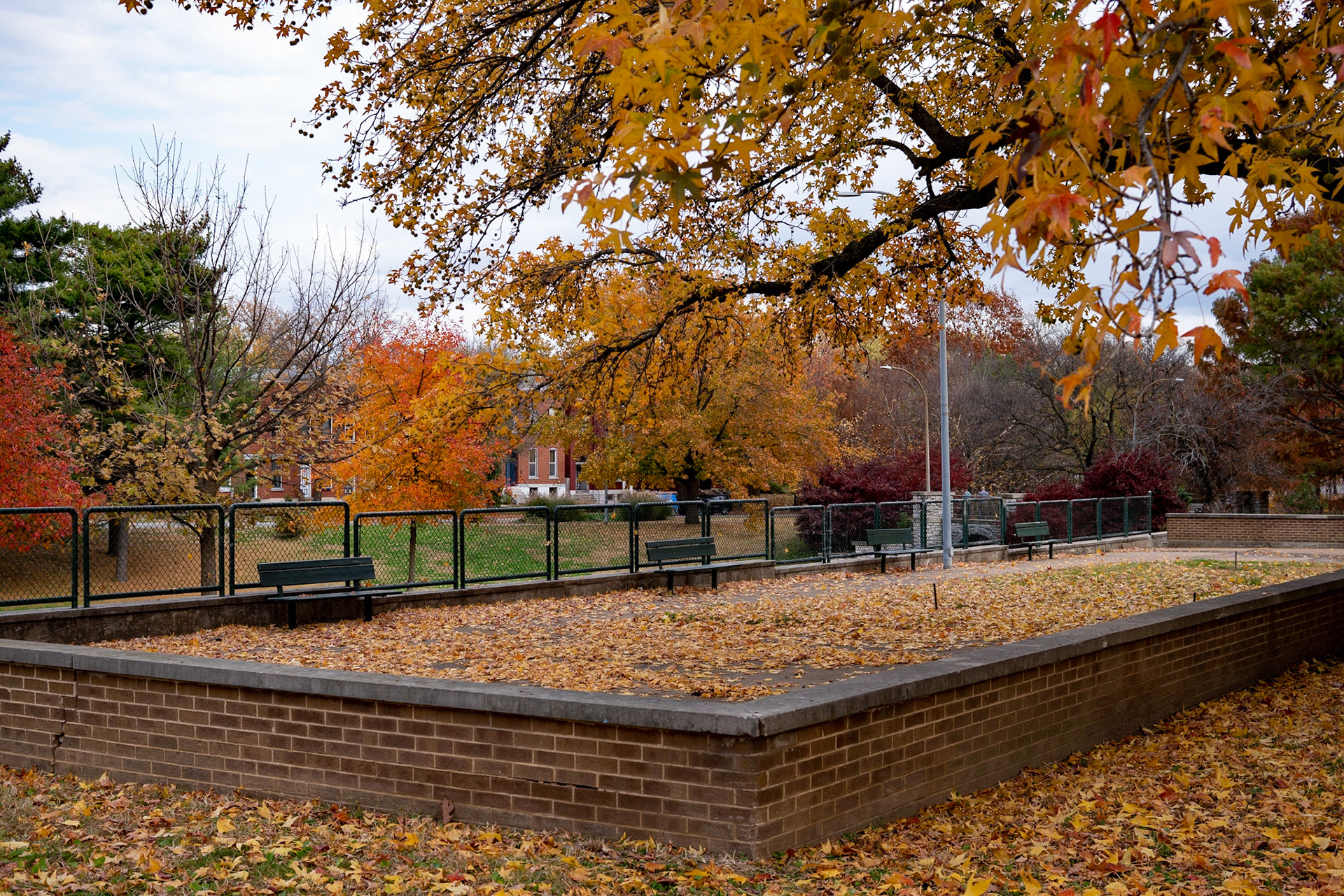 Benton Park, St Louis MO- by Alison Northway - 2021