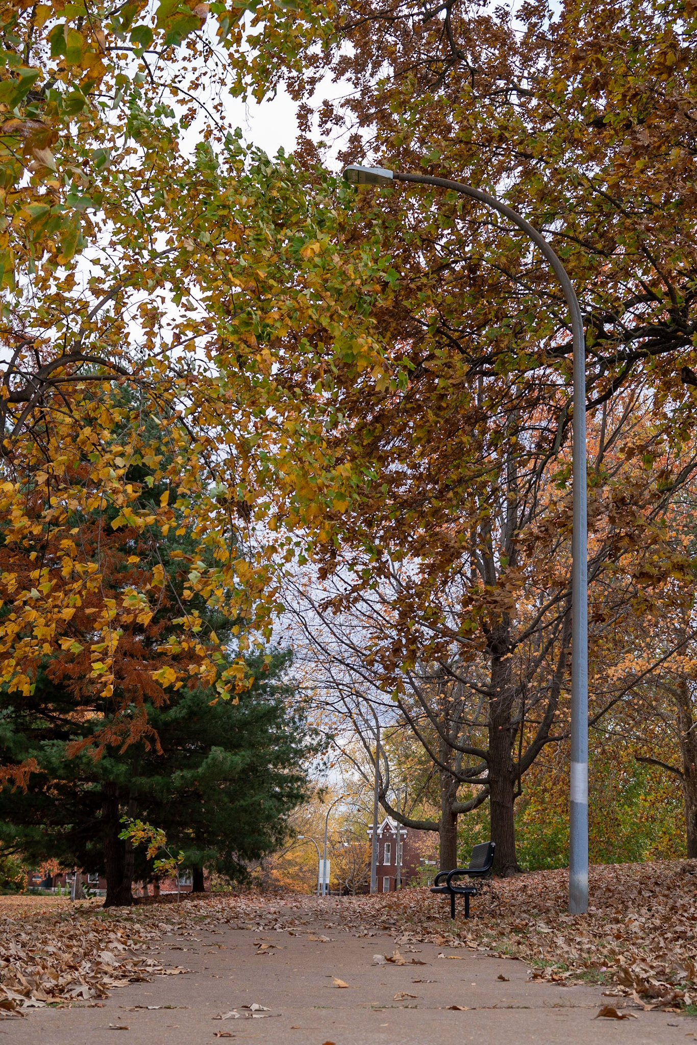 Benton Park, St Louis MO- by Alison Northway - 2021