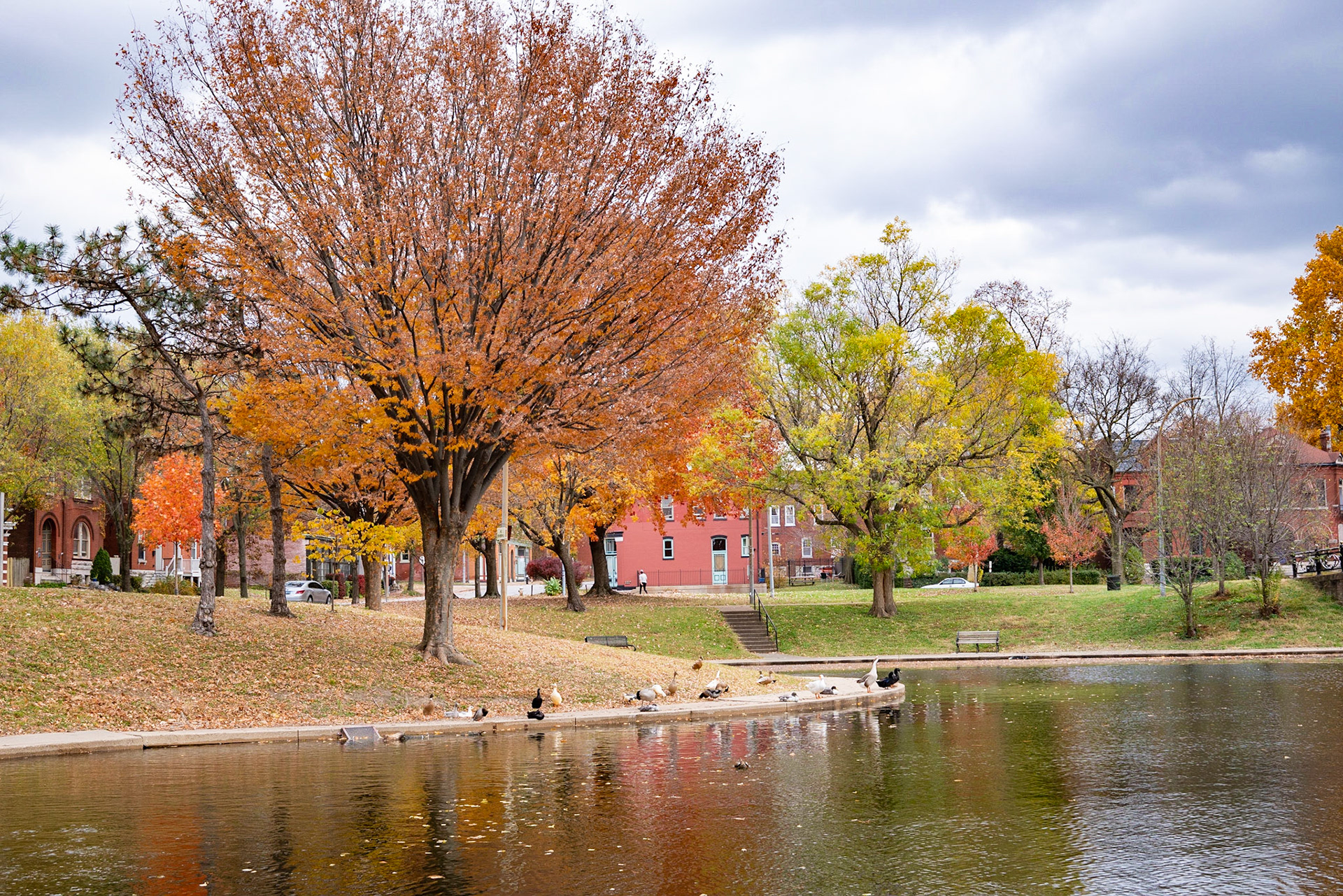 Benton Park, St Louis MO- by Alison Northway - 2021