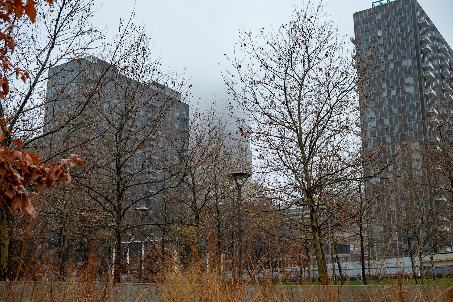 Gateway Arch National Park, St Louis MO - by Alison Northway 2021
