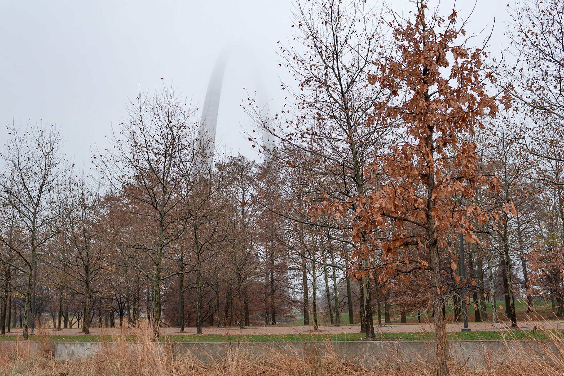 Gateway Arch National Park, St Louis MO - by Alison Northway 2021