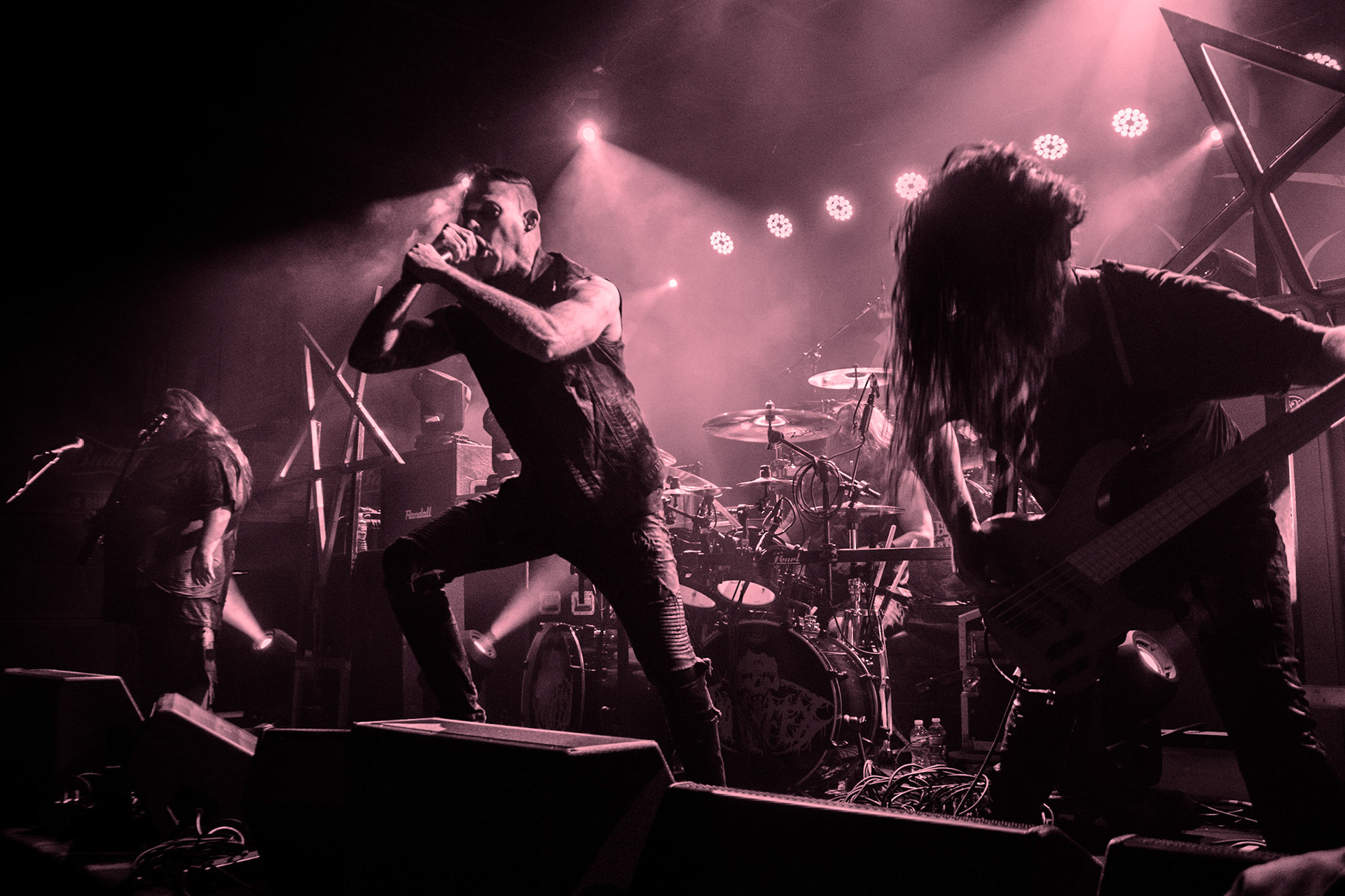 Carnifex