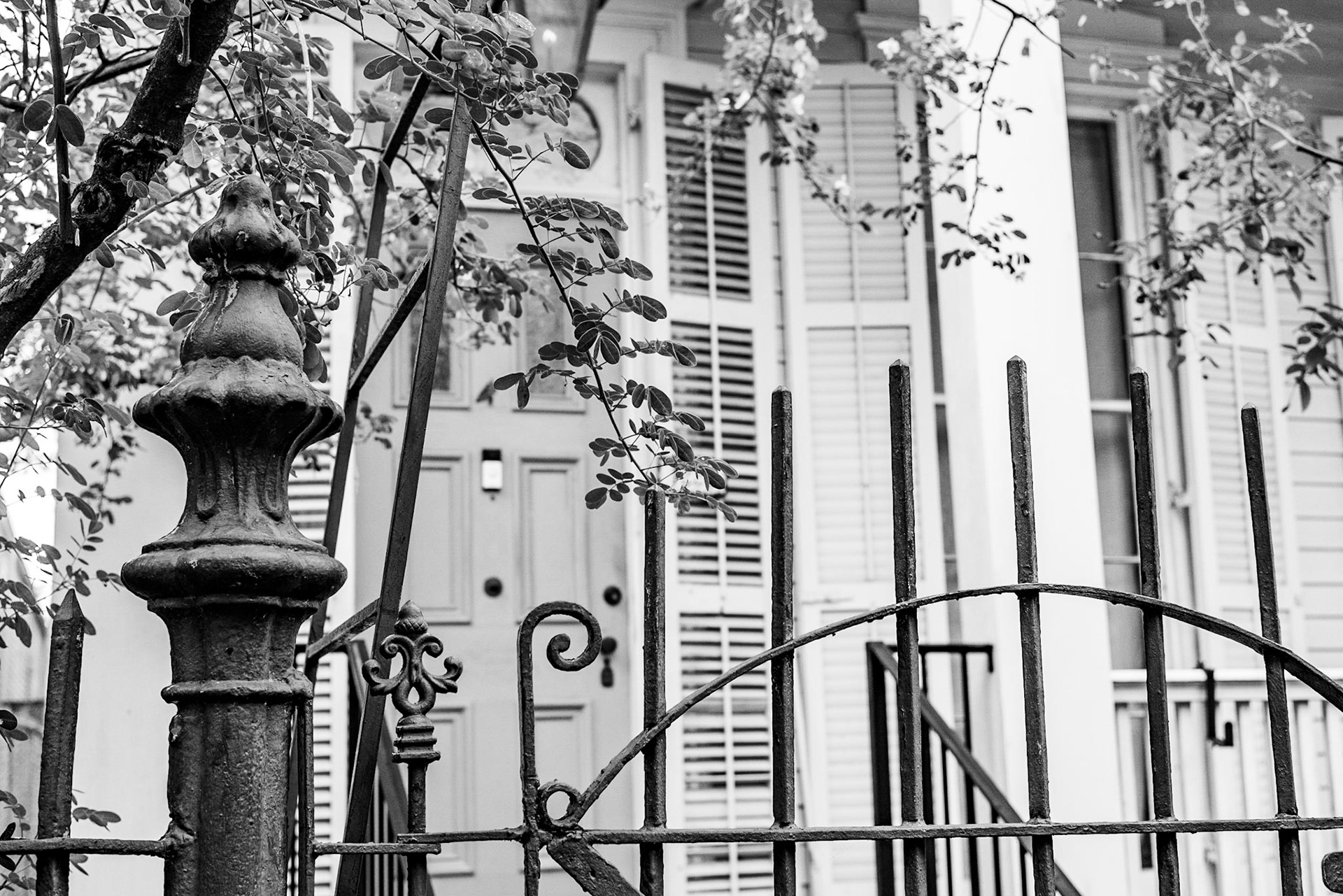 Garden District, New Orleans Louisiana - by Alison Northway - January 2022