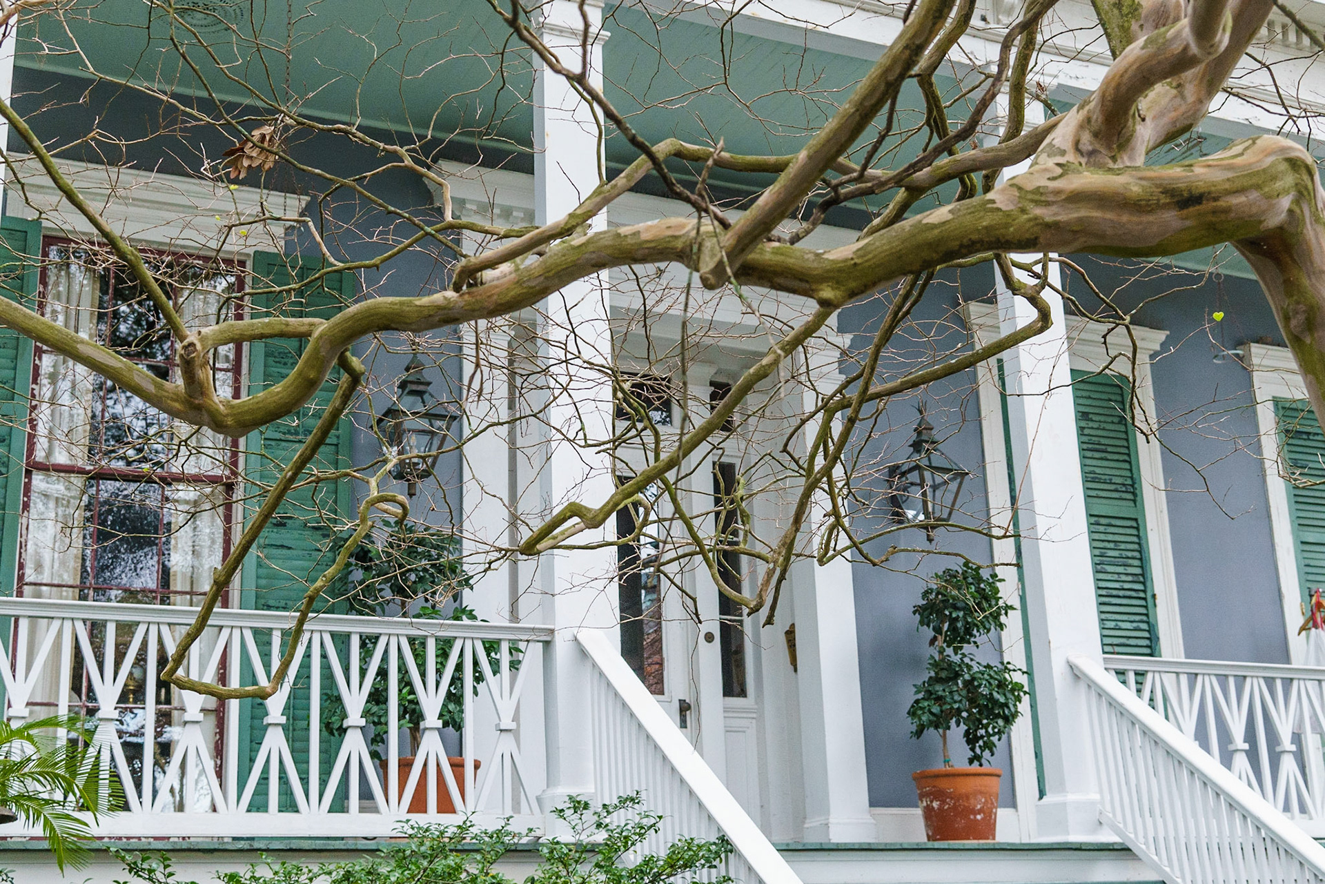 Garden District, New Orleans Louisiana - by Alison Northway - January 2022