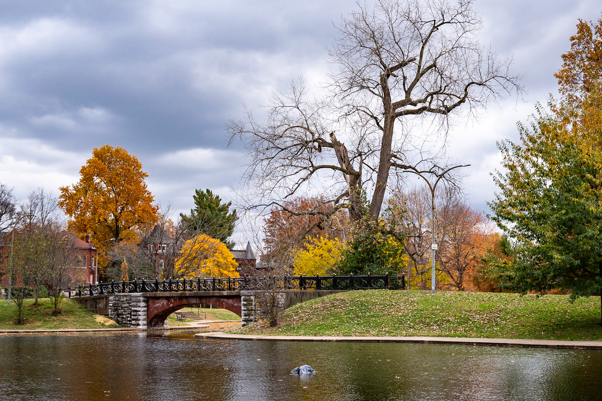 Benton Park, St Louis MO- by Alison Northway - 2021