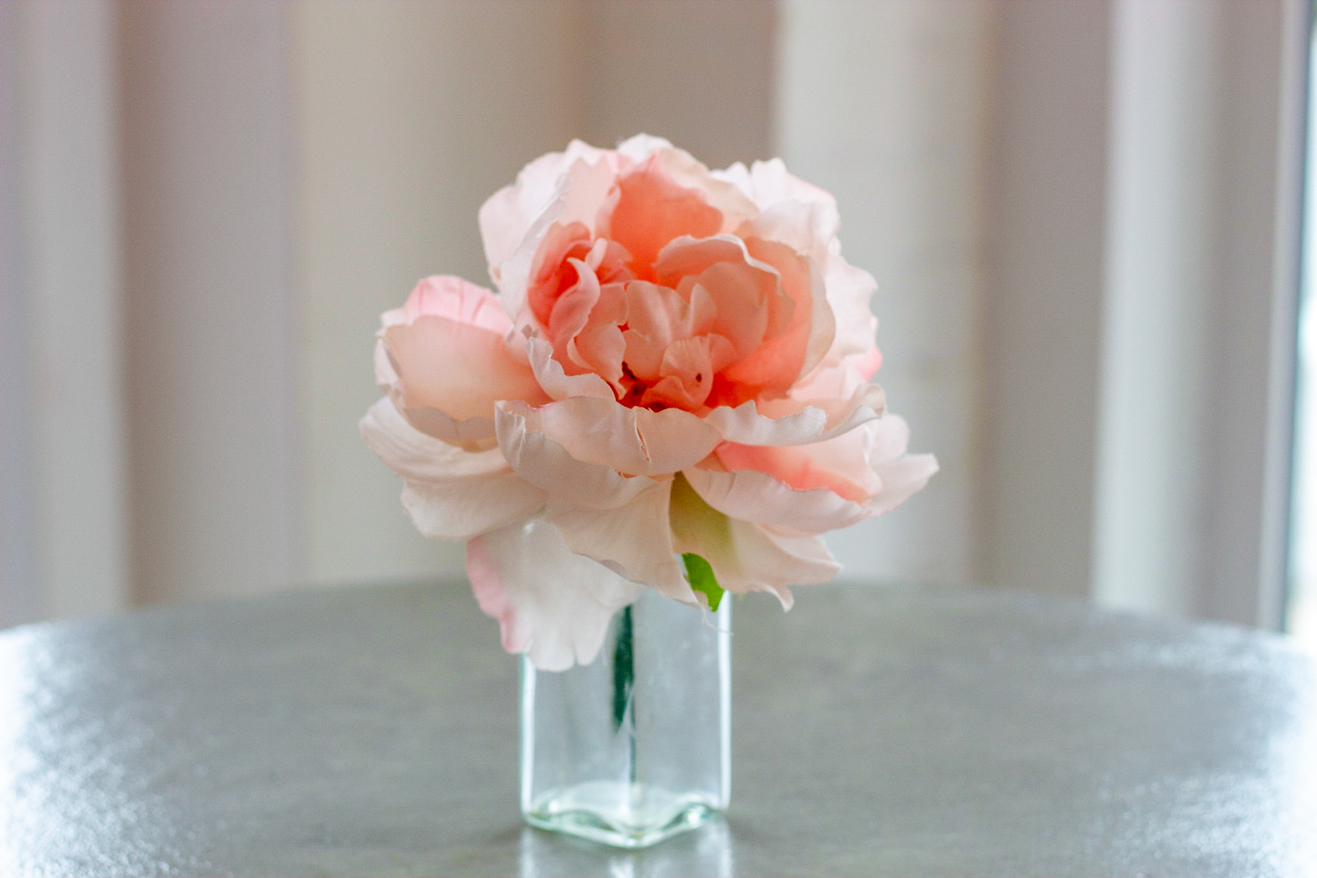 Soulard, St Louis MO - by Alison Northway - 2021