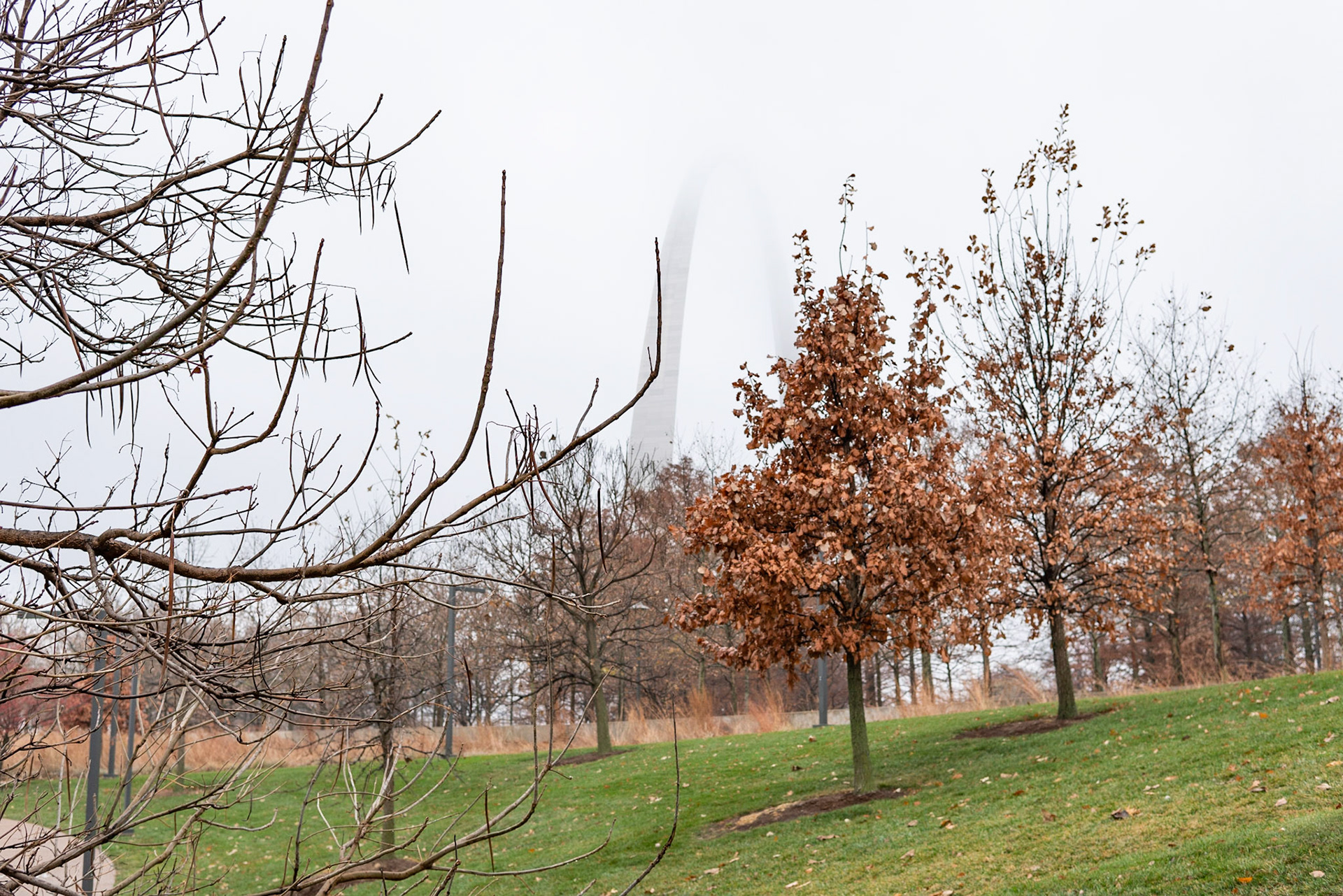 Gateway Arch National Park, St Louis MO - by Alison Northway 2021