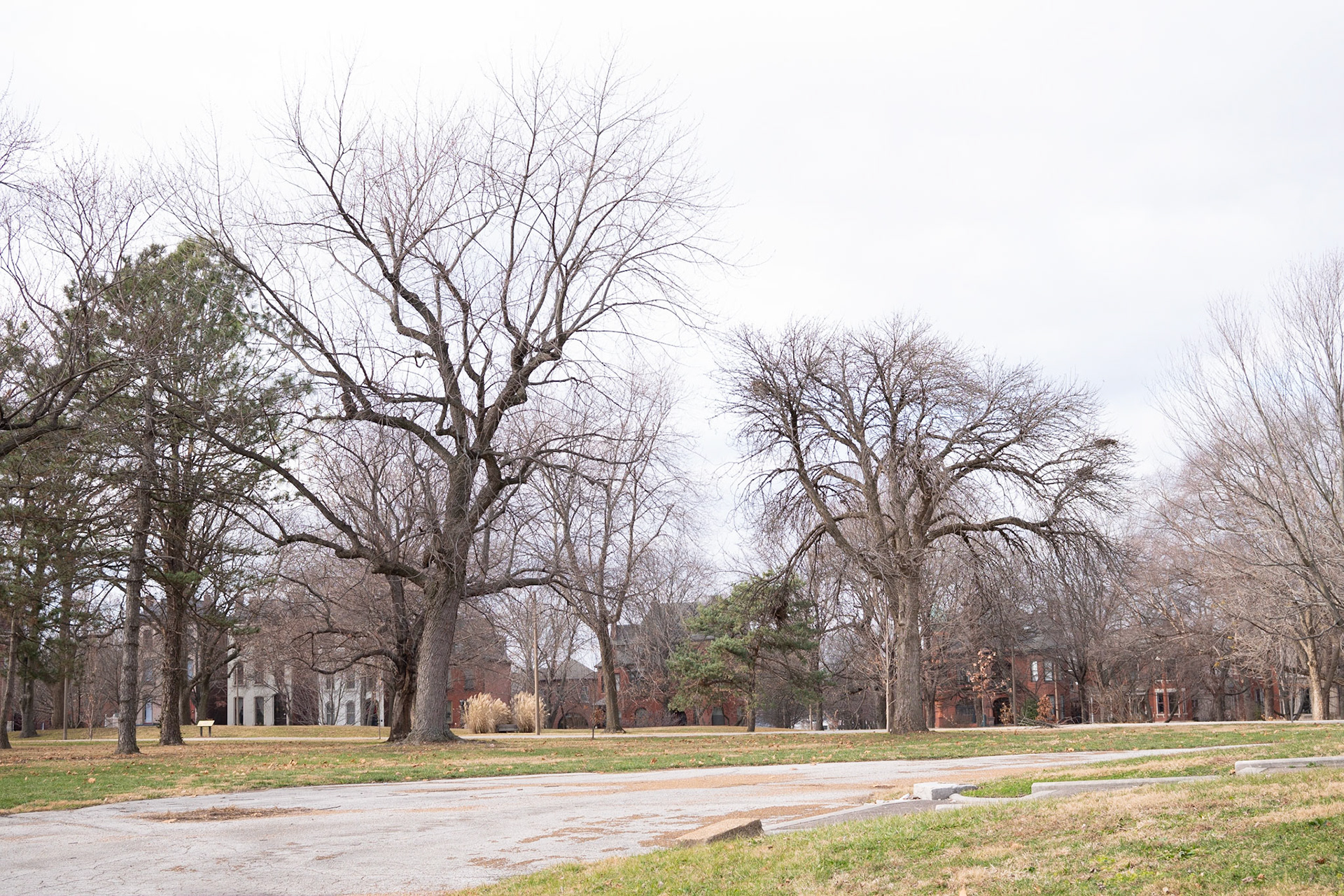 Lafayette Park, St Louis - Alison Northway 2021