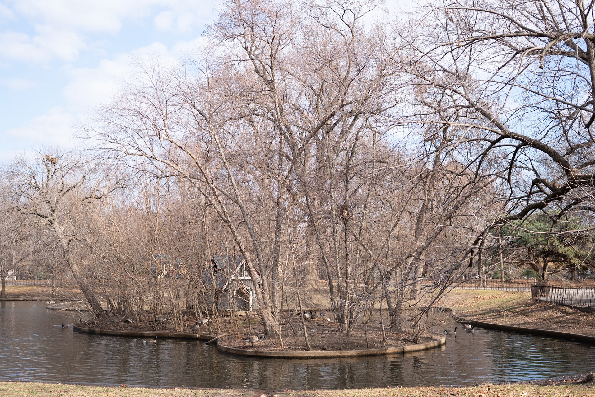 Lafayette Park, St Louis - Alison Northway 2021