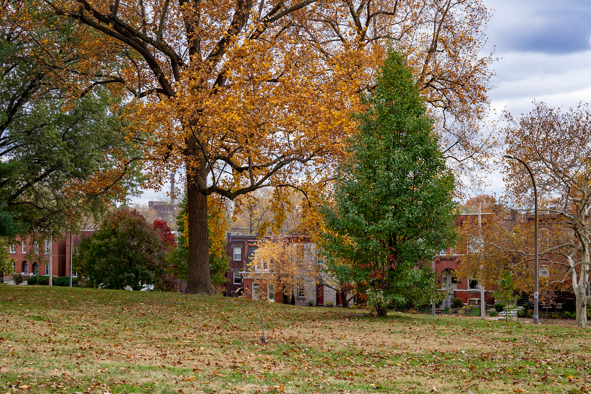 Benton Park, St Louis MO- by Alison Northway - 2021