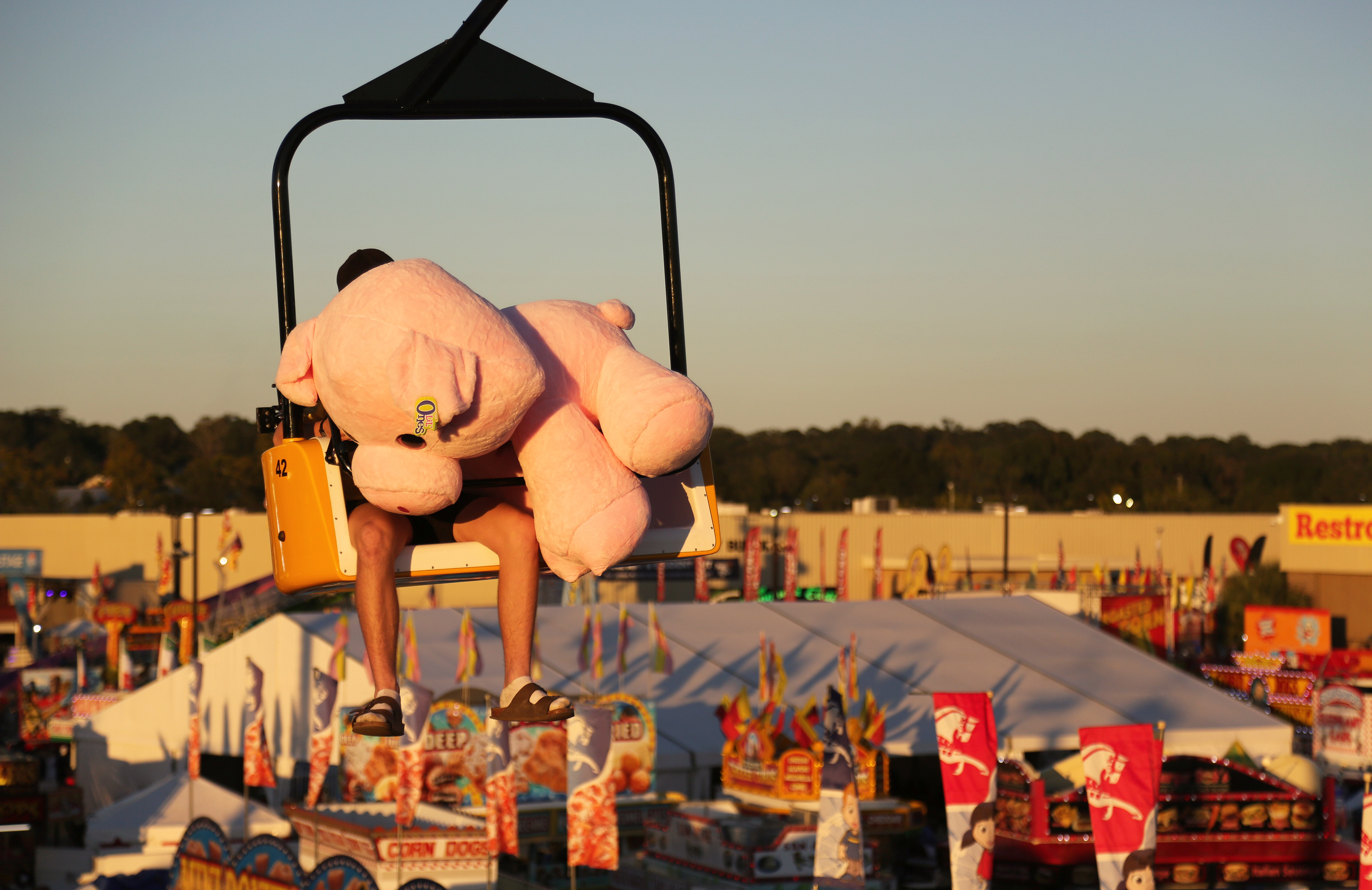 "When pigs ski lift" - A photo of a man carrying his prize across the fair sky in the ski lift at the SC State Fair