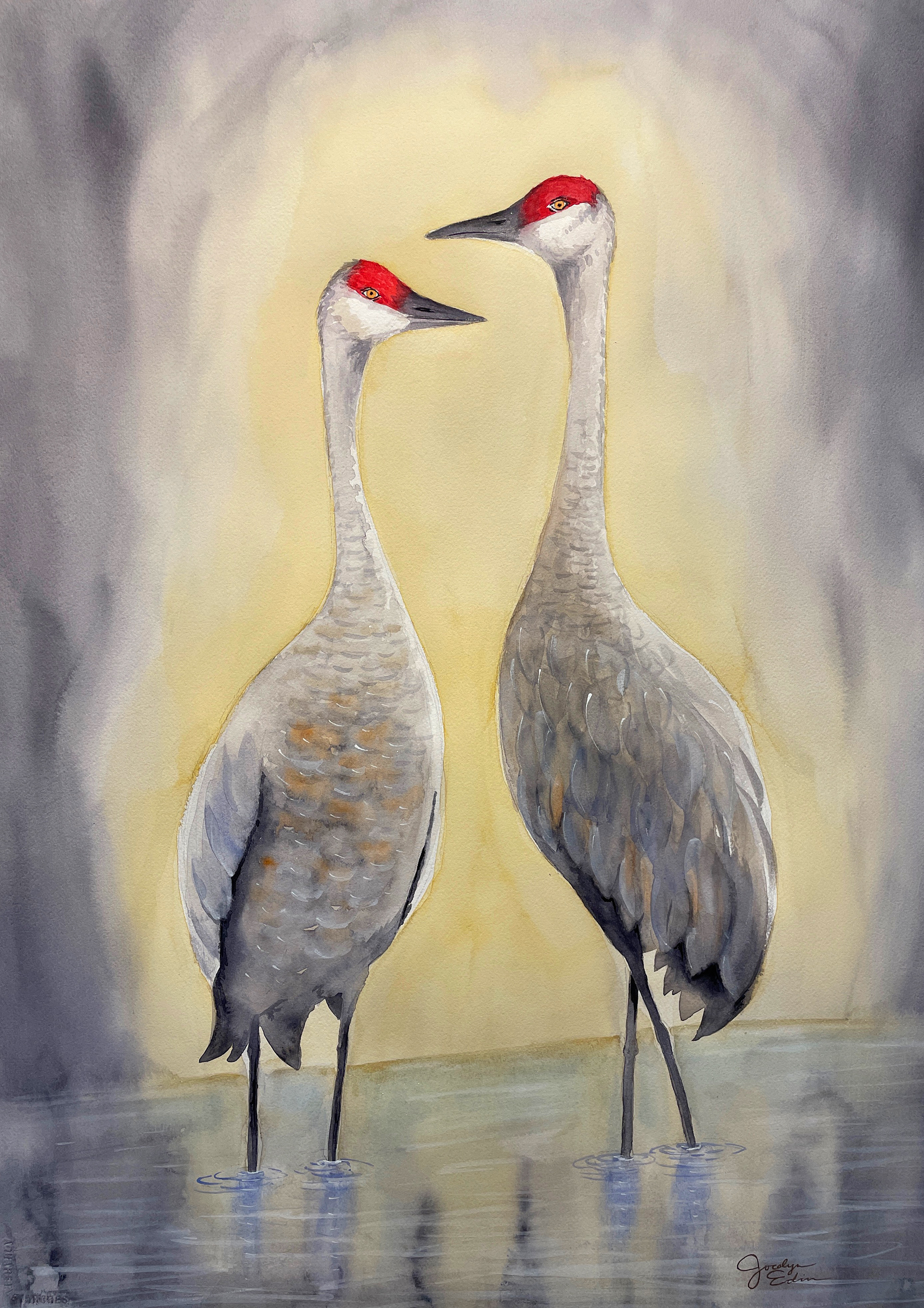 Crane Mates, 24" x 36", original watercolor