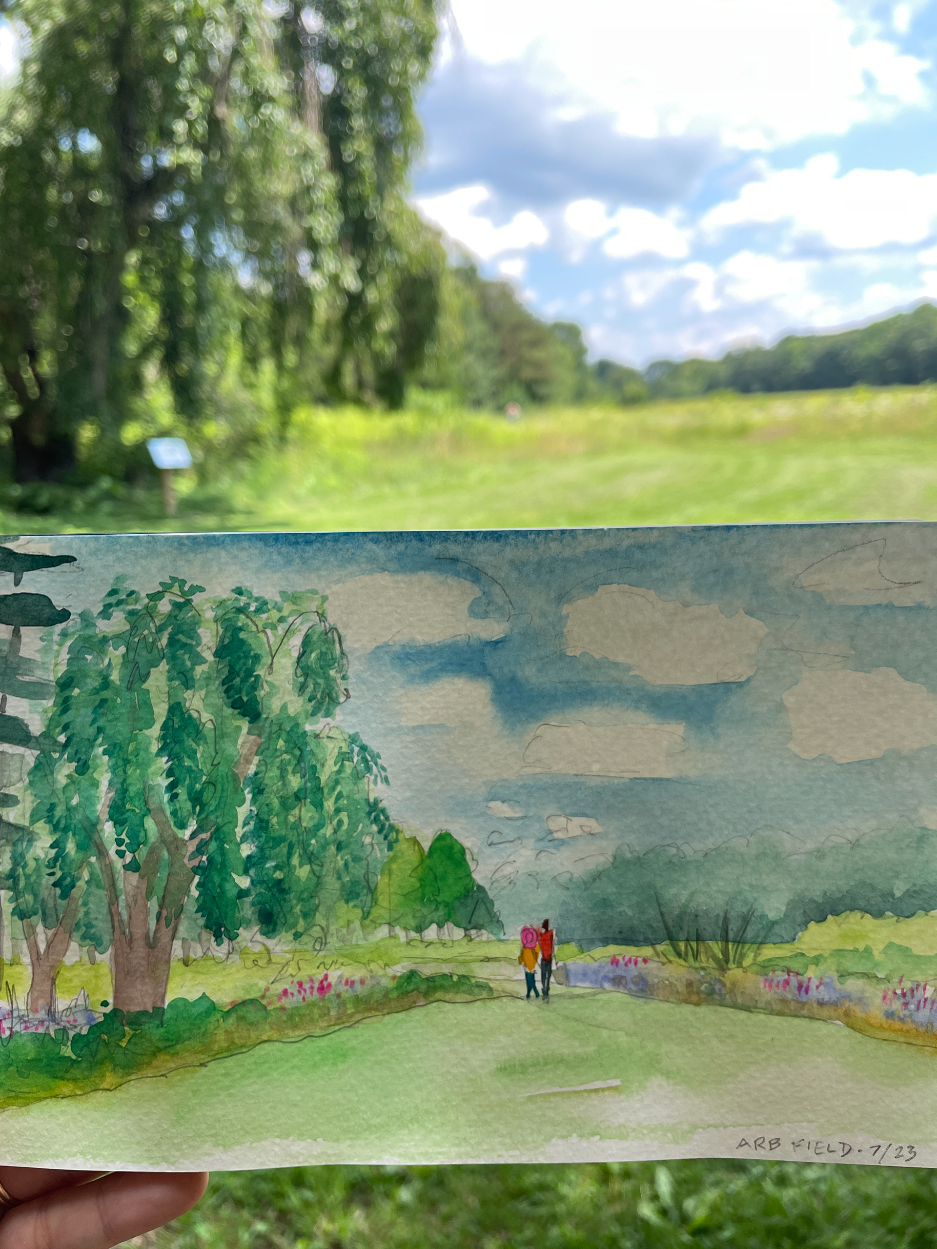 Nichols Arboretum, Ann Arbor, Michigan