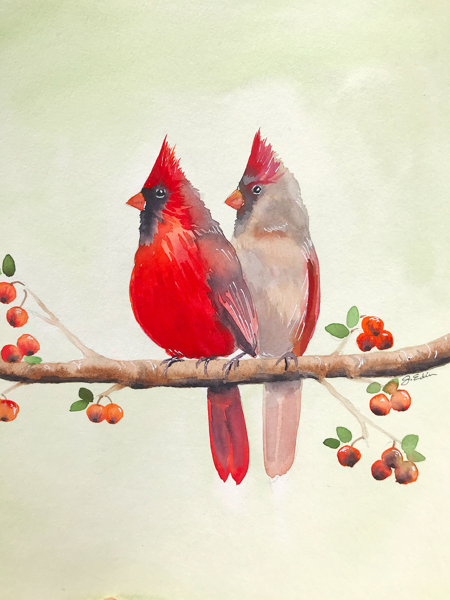 Cardinal Angels, 8" x 10", original watercolor