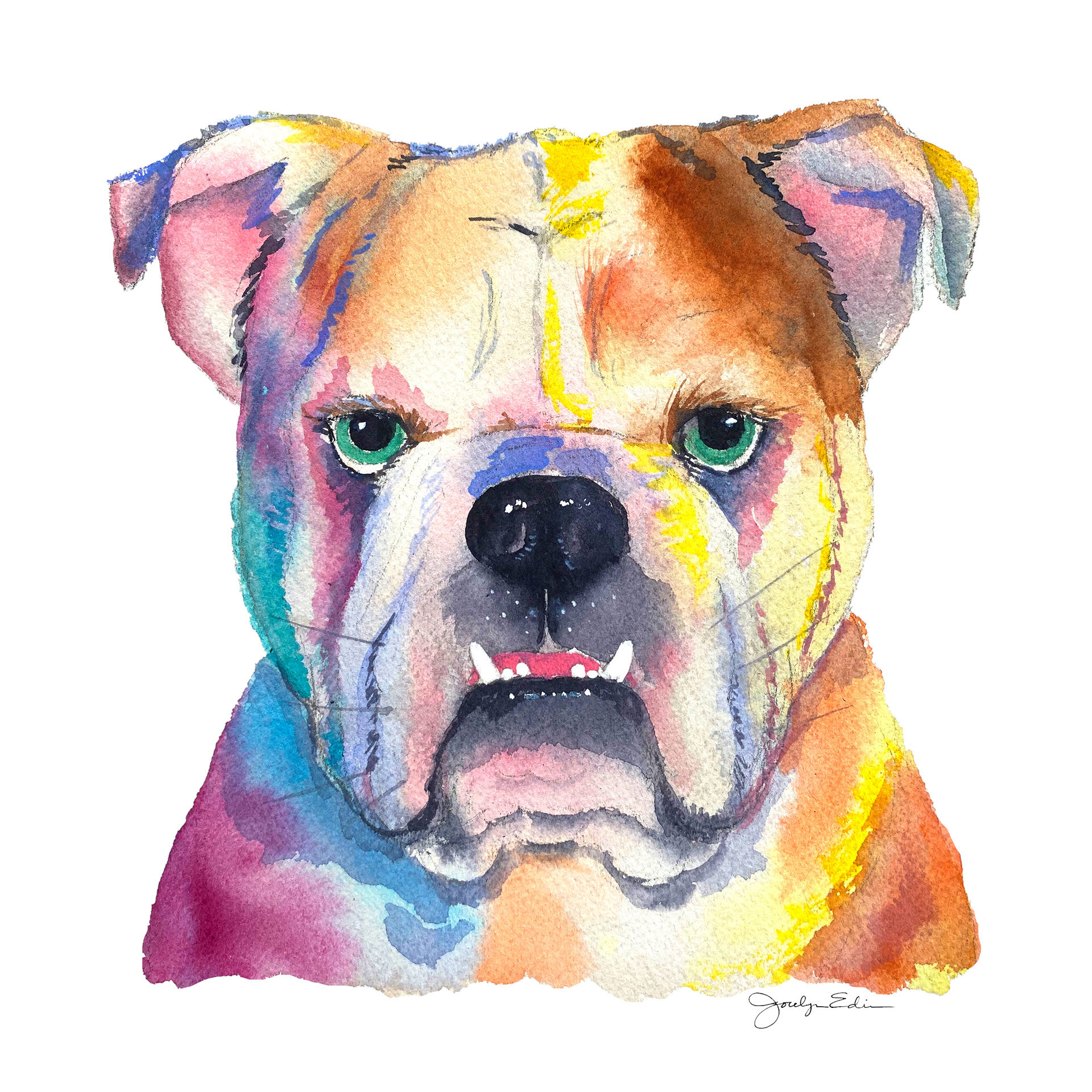 English Bulldog, 10" x 10", original watercolor