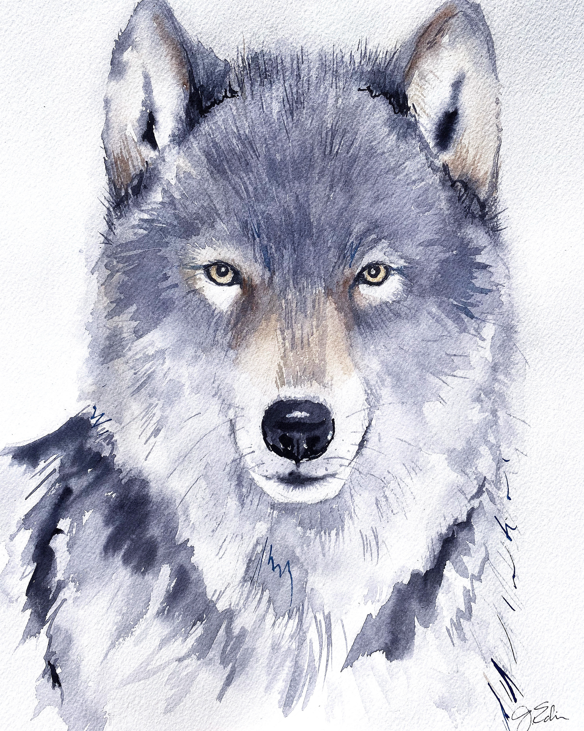 Grey Wolf, 16" x 20", original watercolor