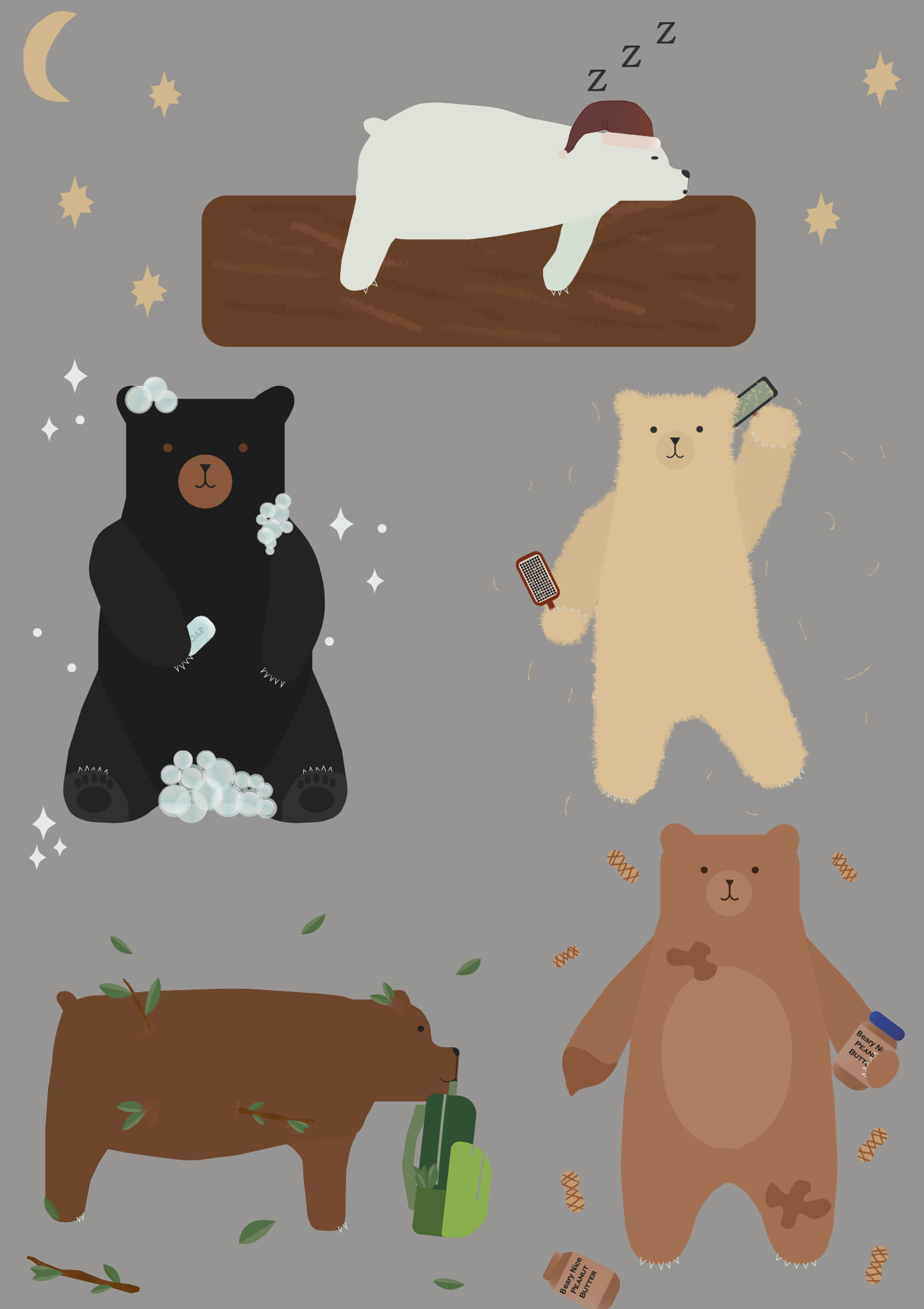 Making Images with Adobe Illustrator