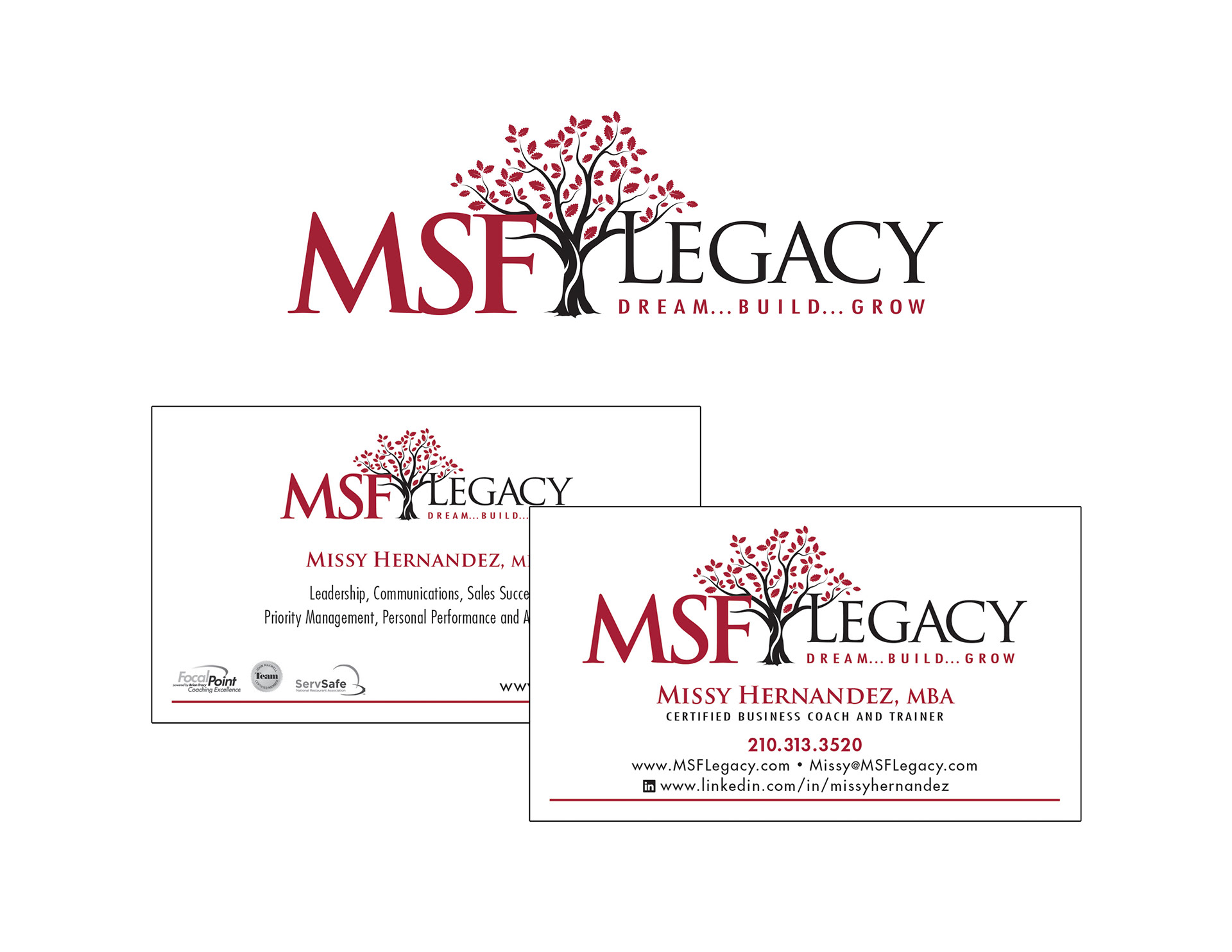 Logo Design & Branding / Professional Services