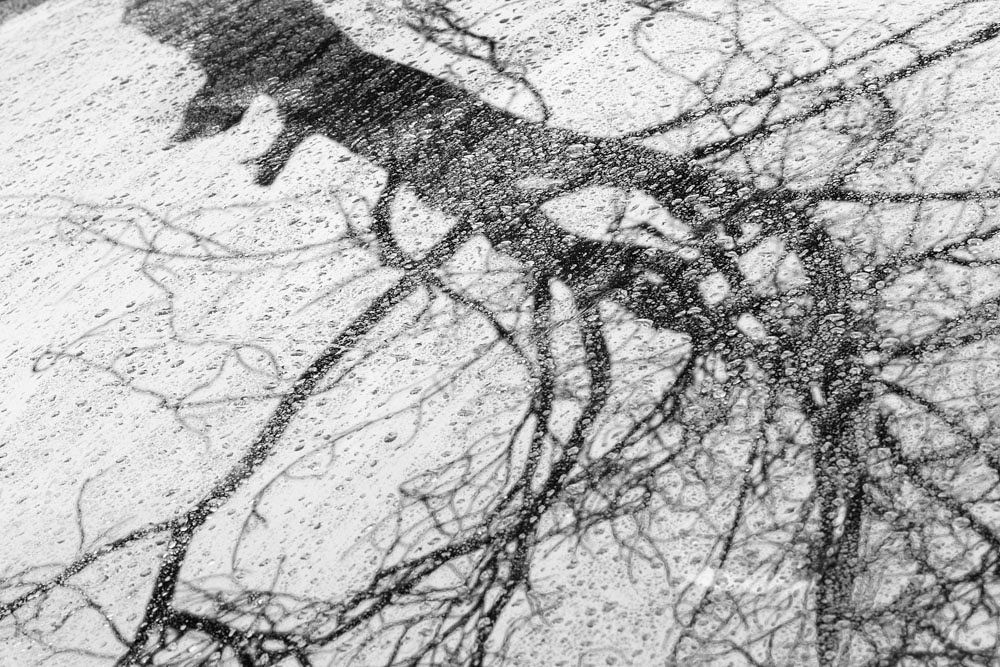 Danse avec la pluie 3/3