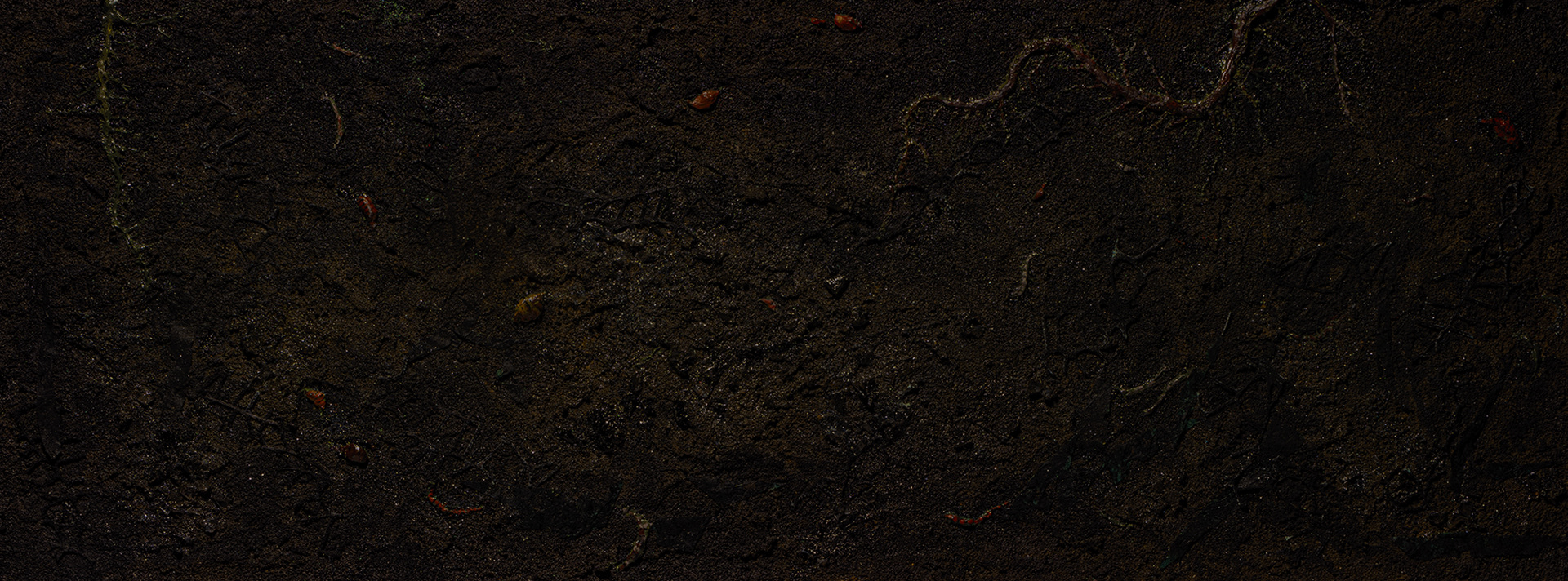 Étincelles sous la terre