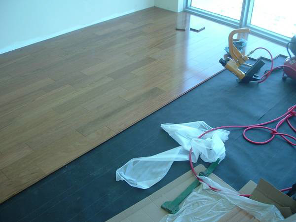 2000 Sqft Nail down Hardwood Floor