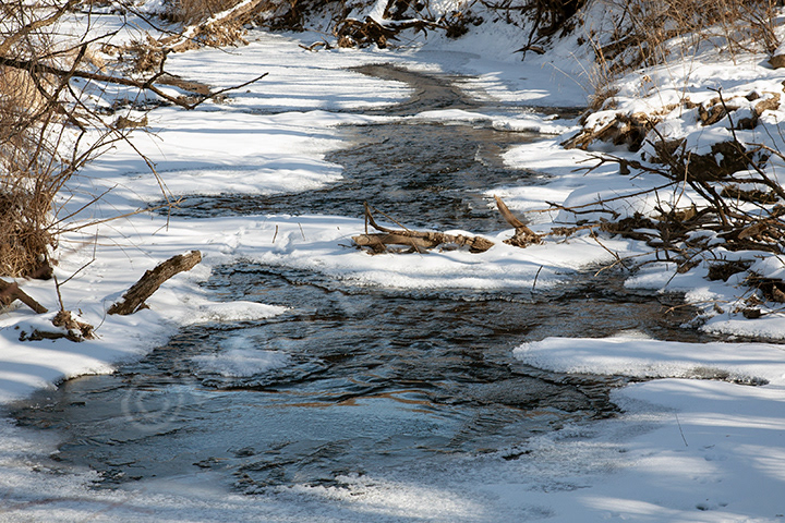 A small creek near my home