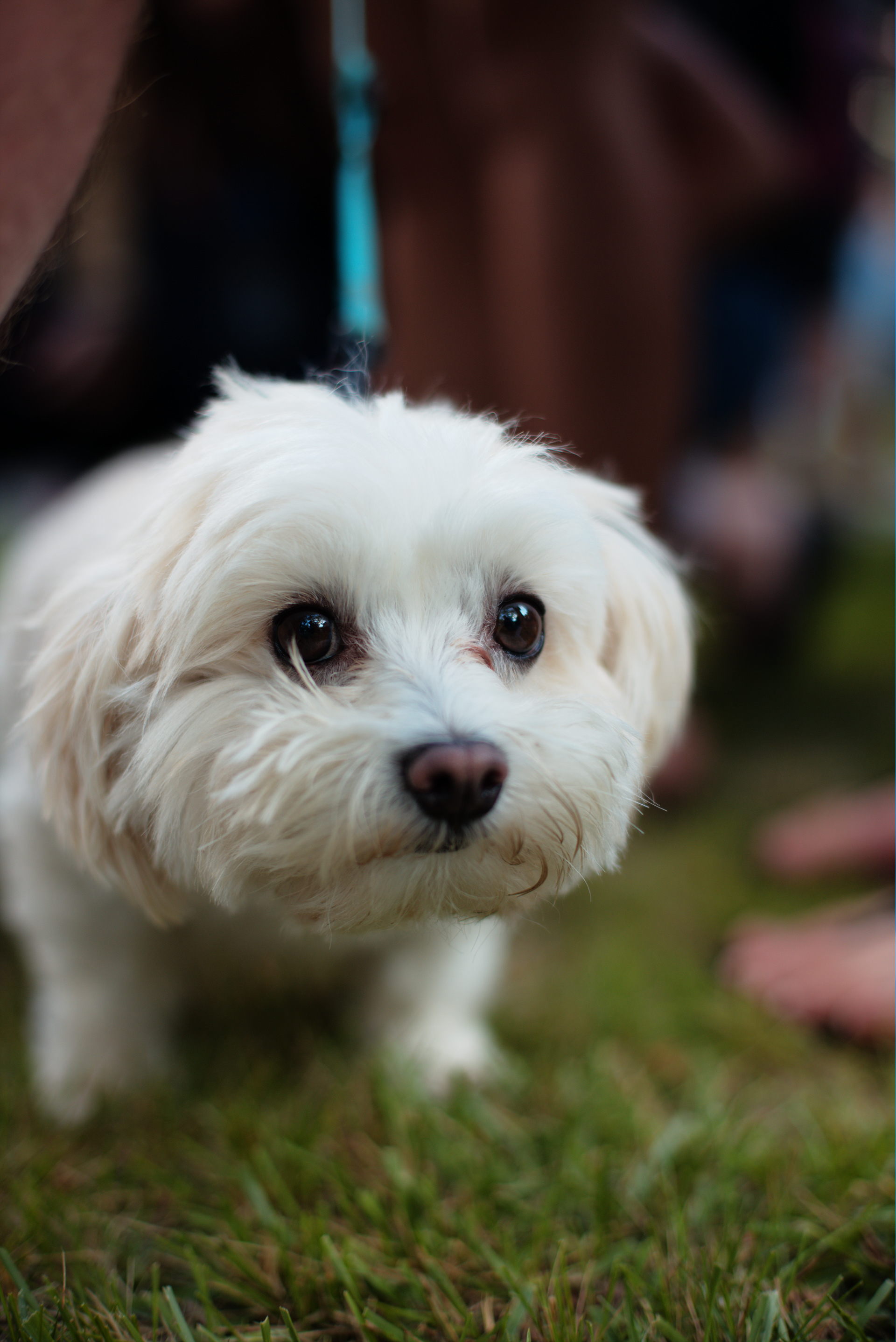 Russell//Prospect St