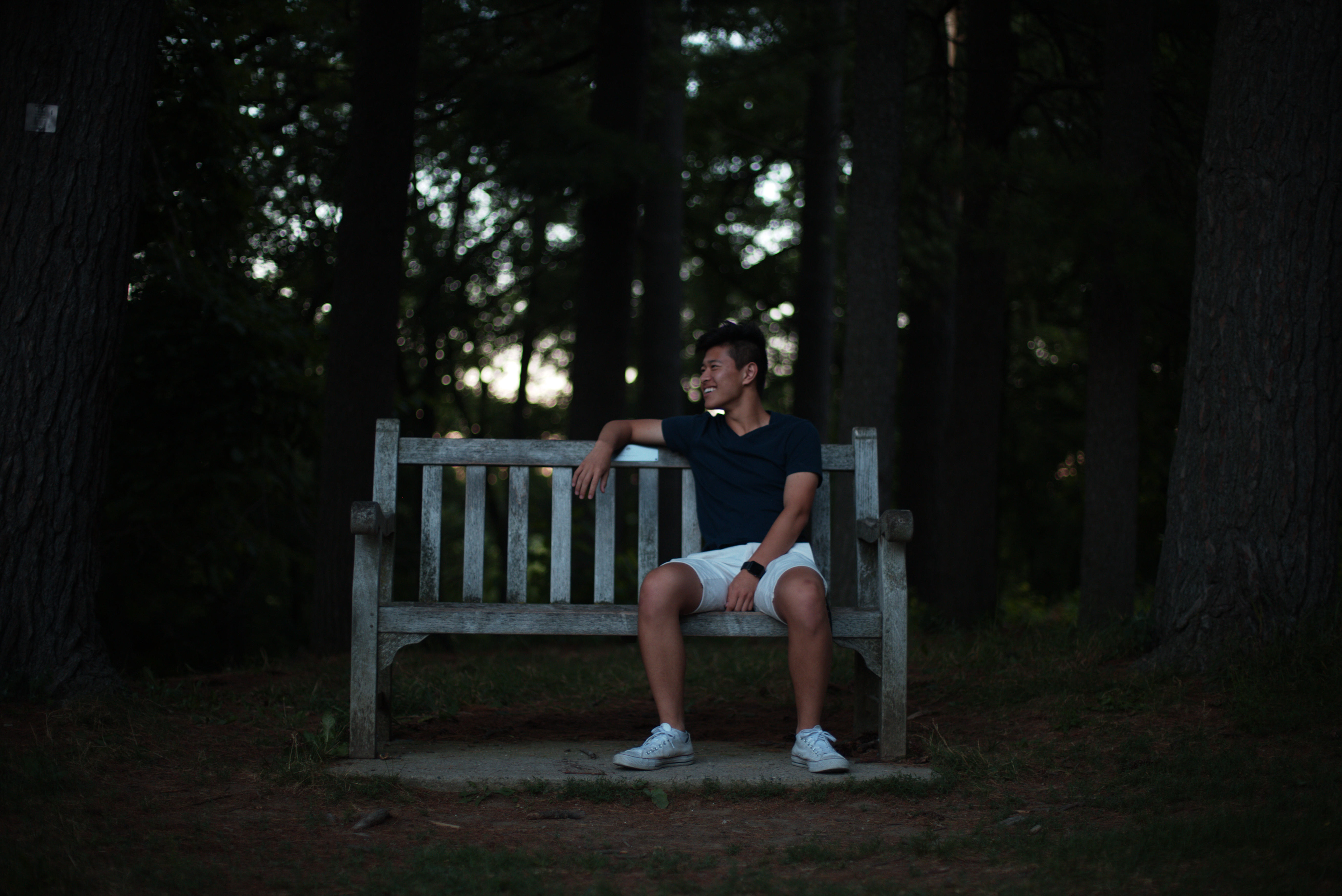 jahow//arb summer '18