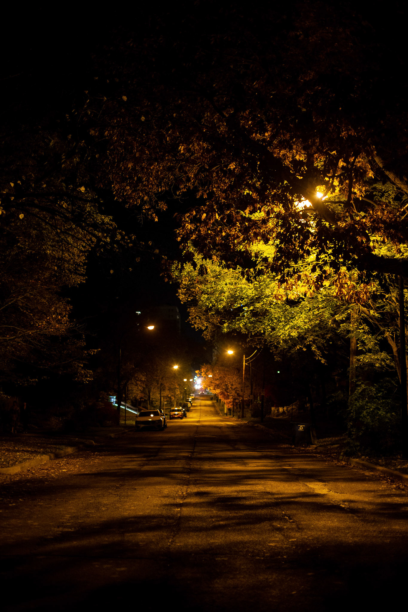 looking down S. Forest Ave