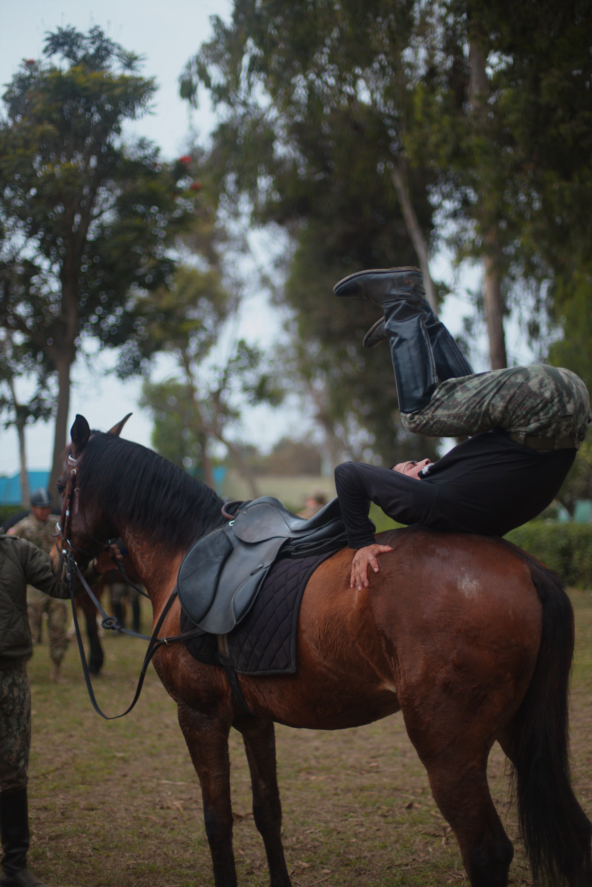 cavalry