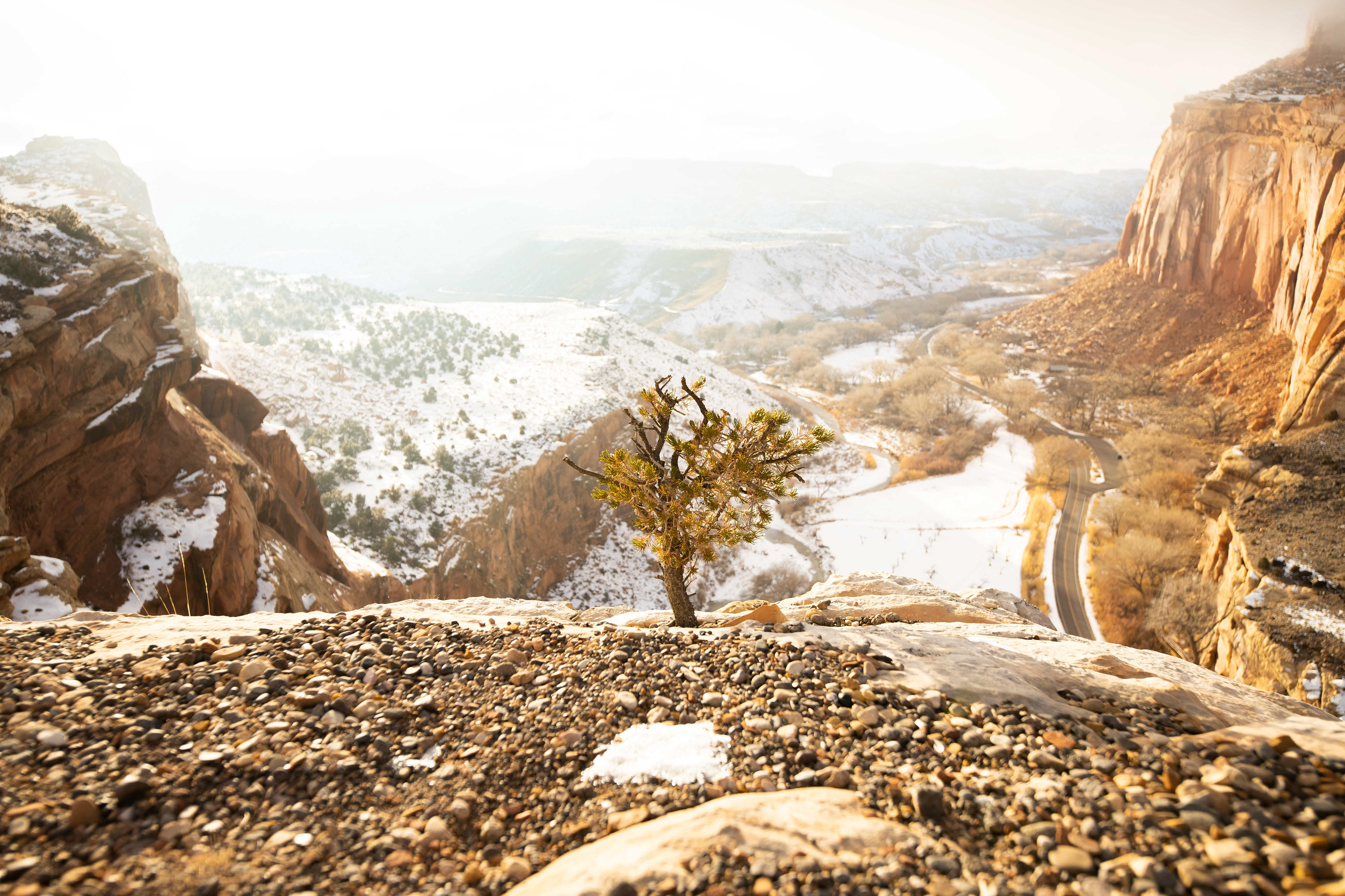 capitol reef