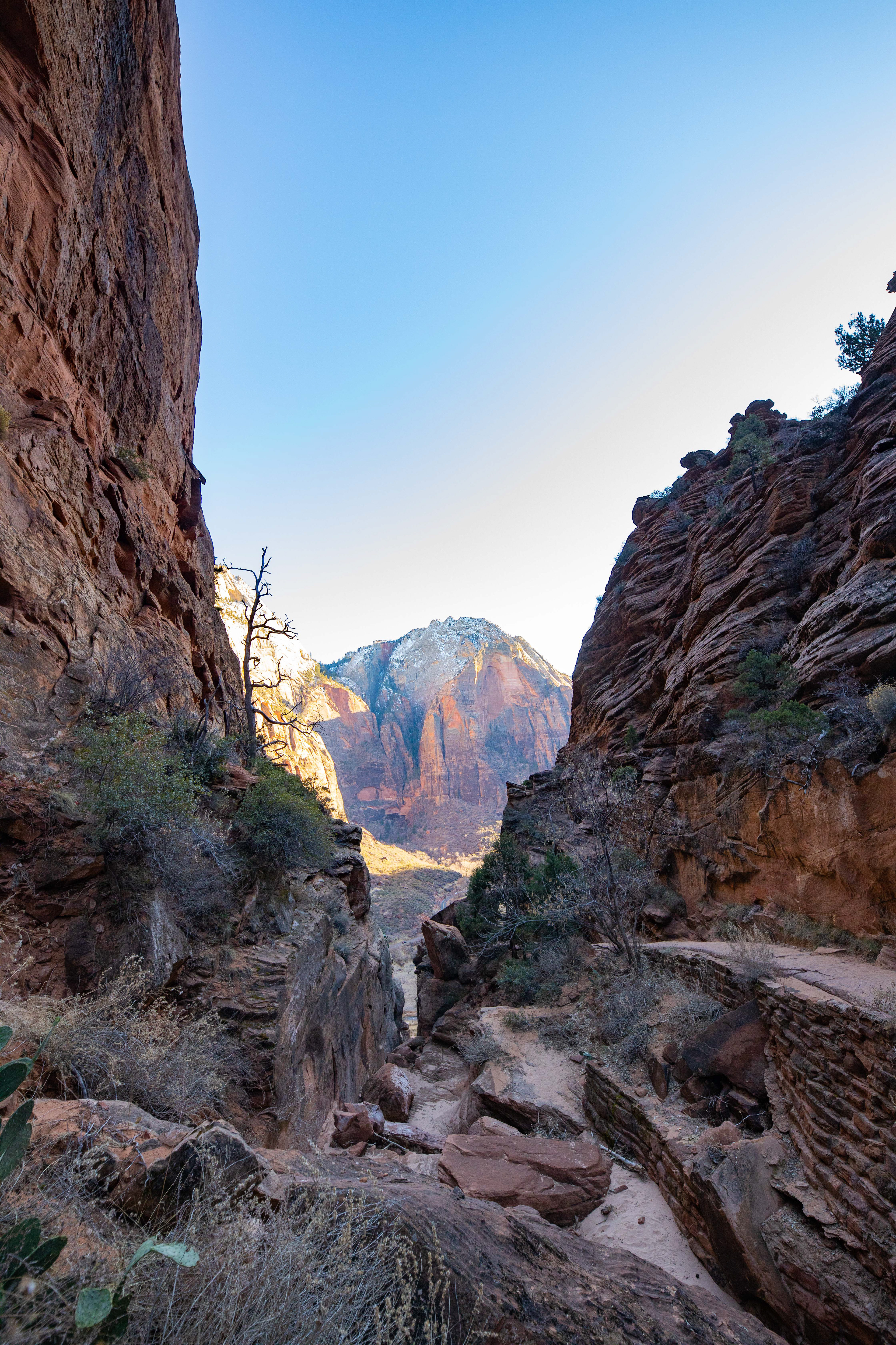 angel's landing