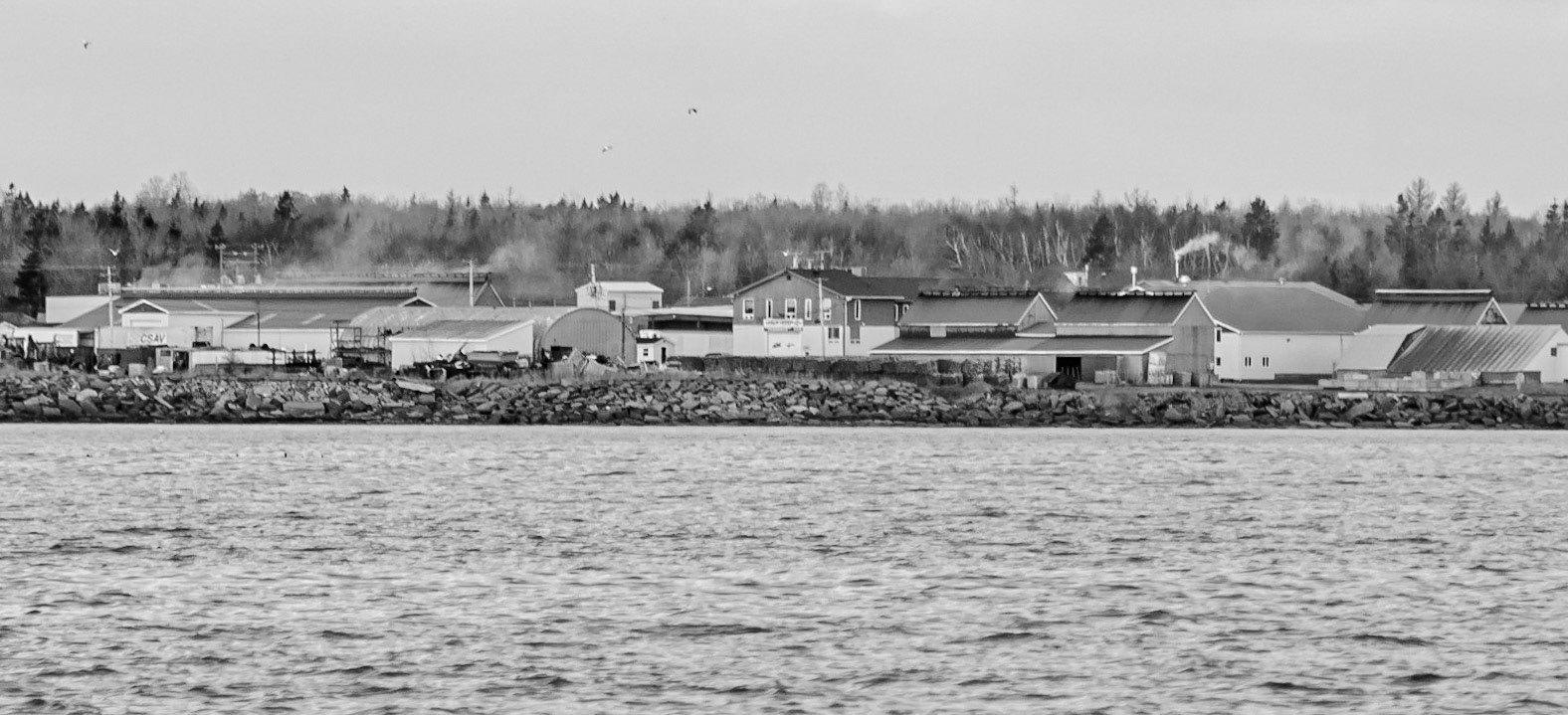 Boat 4