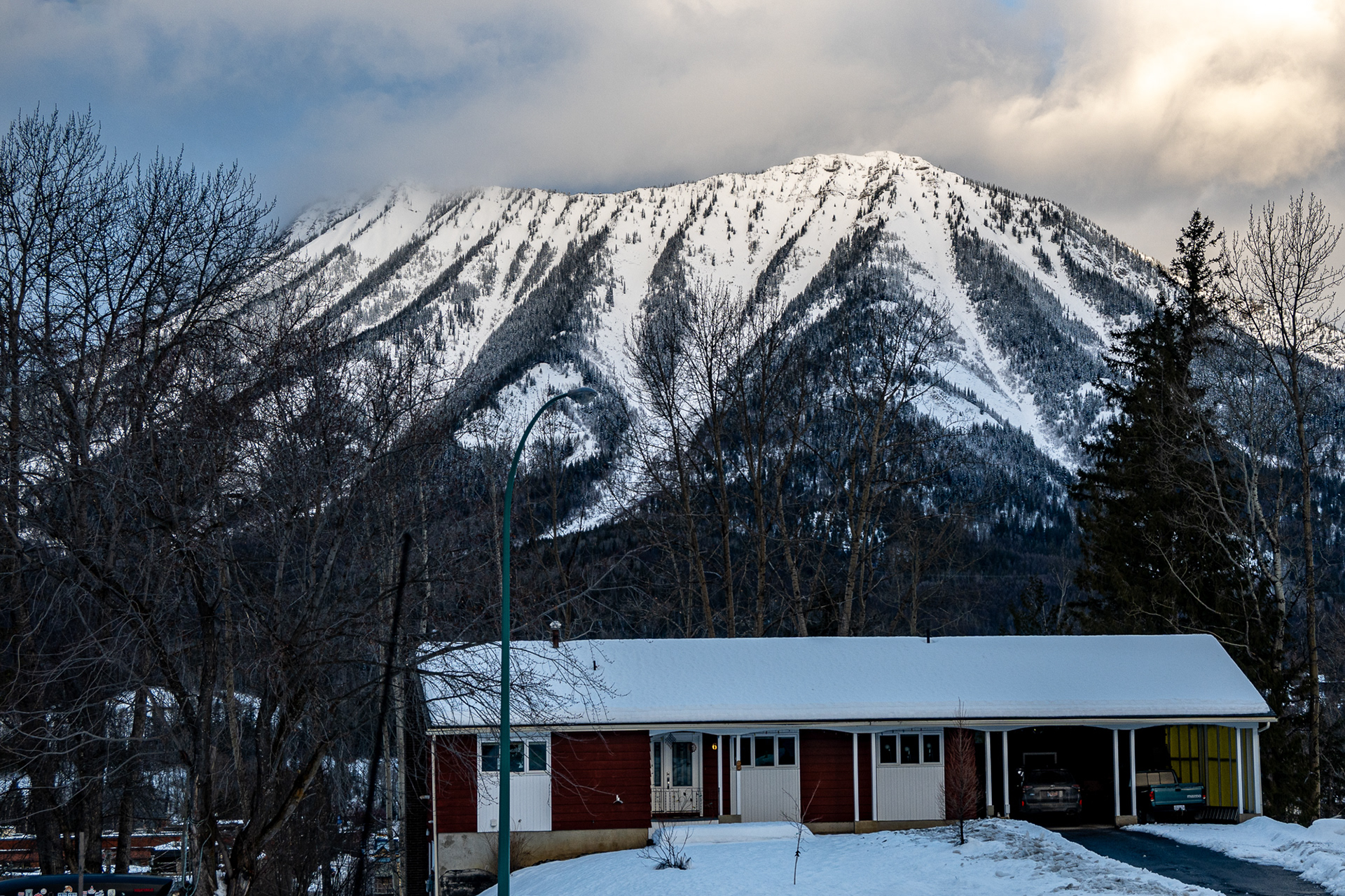 Fernie