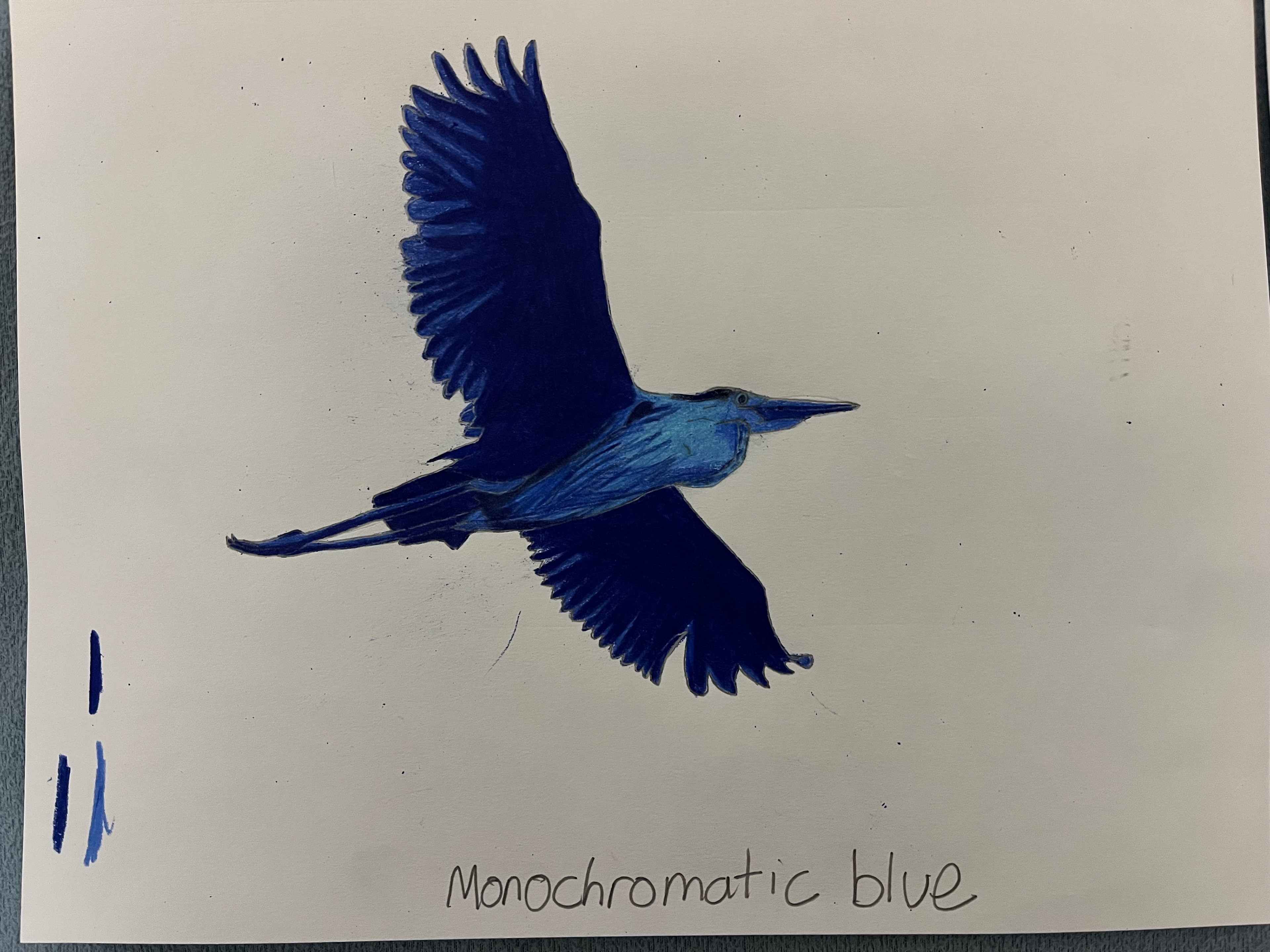 Monochromatic Blue Heron