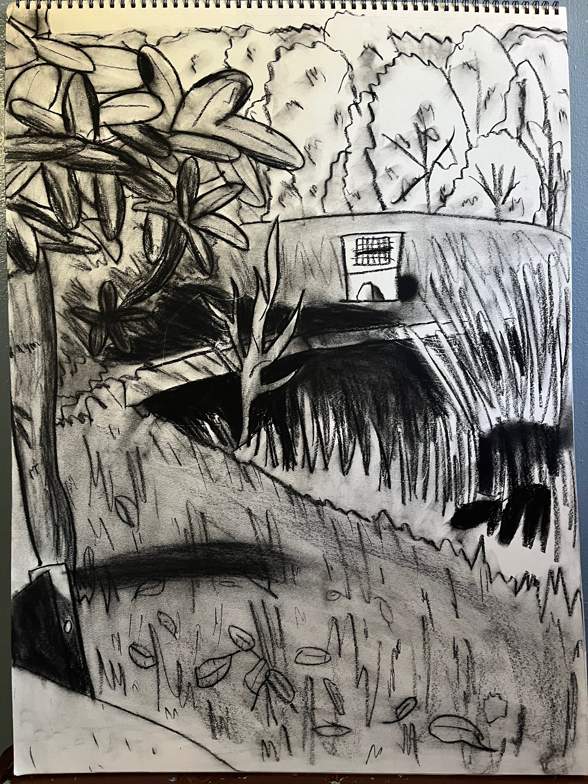 Campus Stormwater Pond