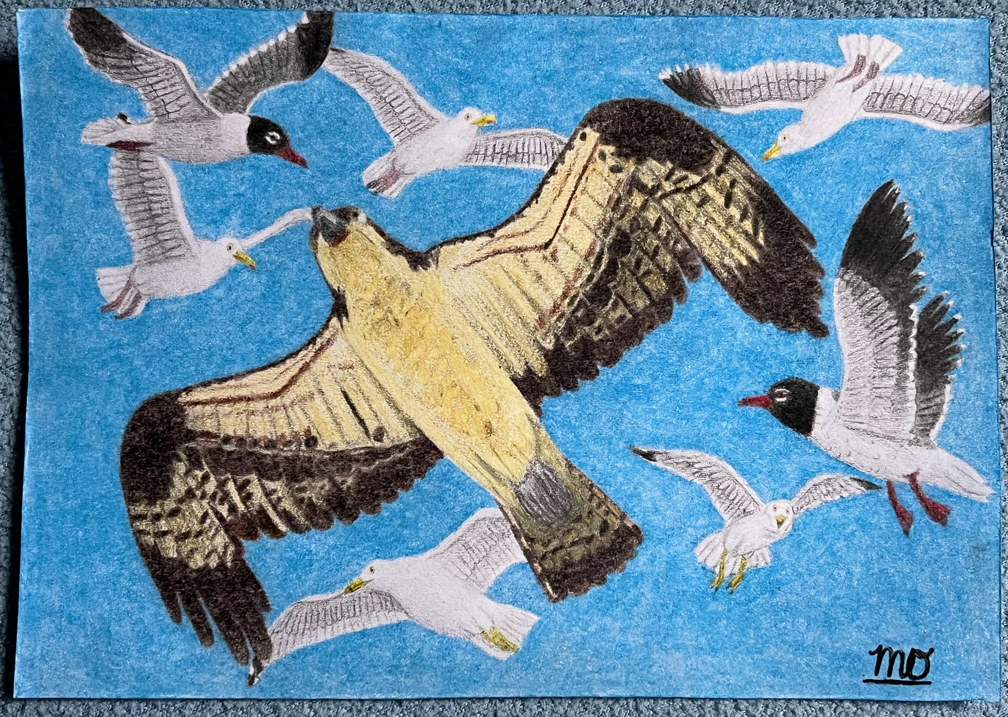 Fishing Bird Feeding Frenzy