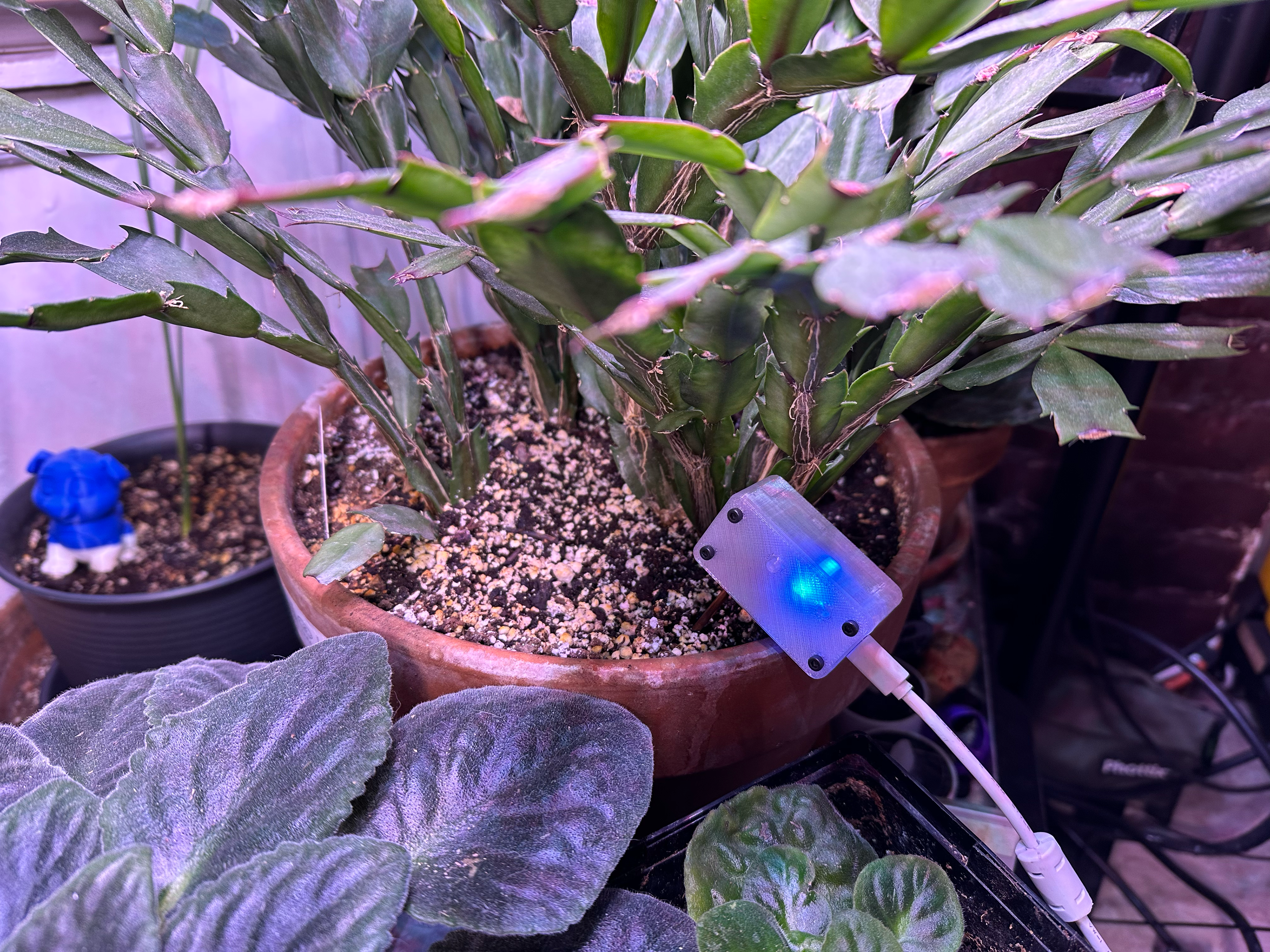 The Plantini sensor is shown staked into a plant ready to make music.
