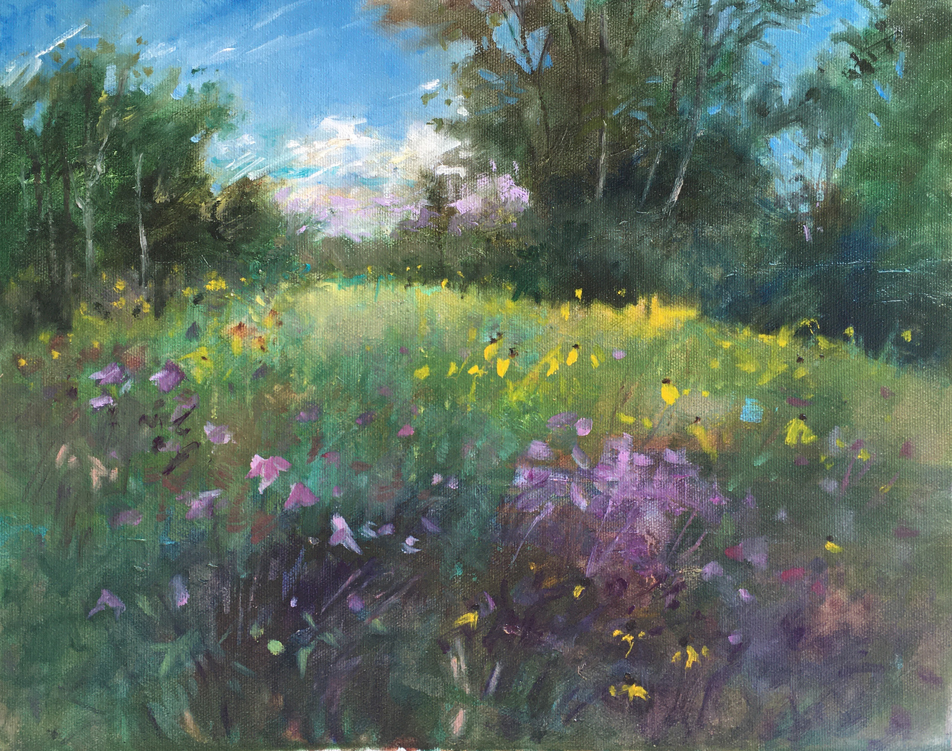 Wildflower Field