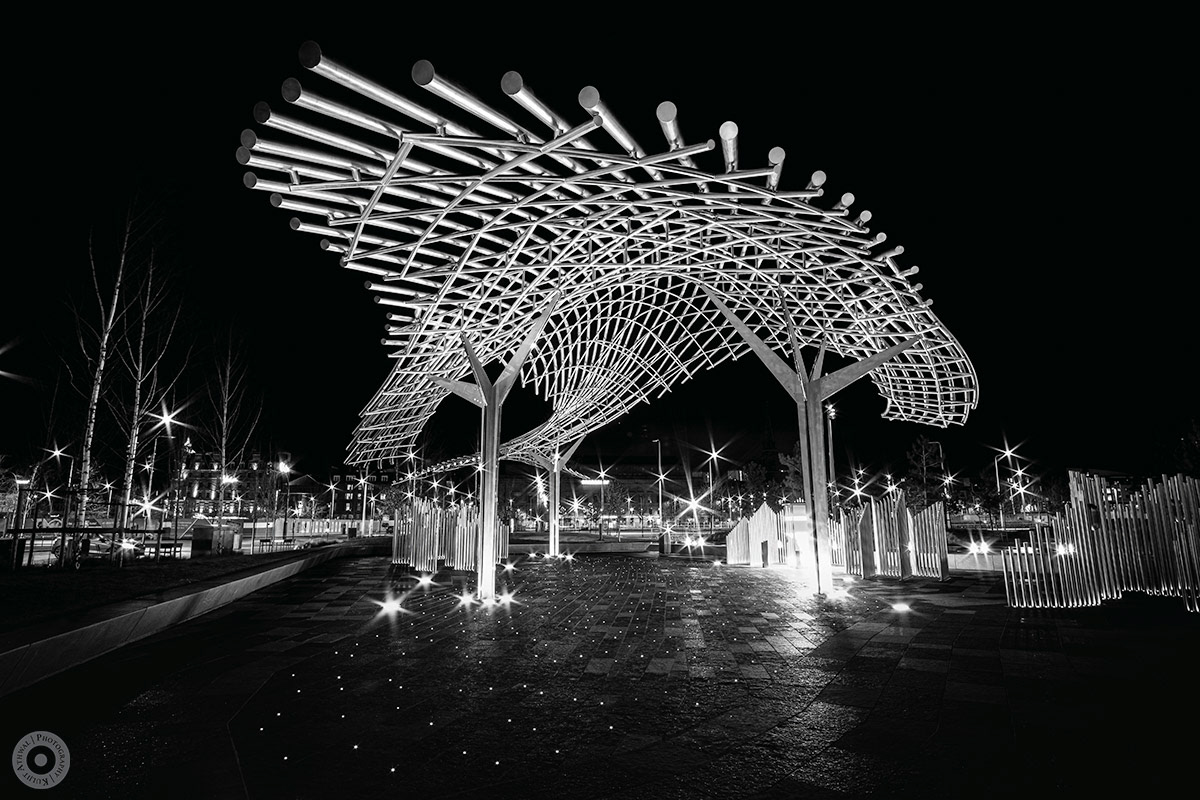 Slessor Gardens Area Long Exposures
