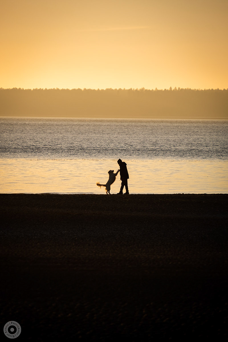 Man's Best Friend