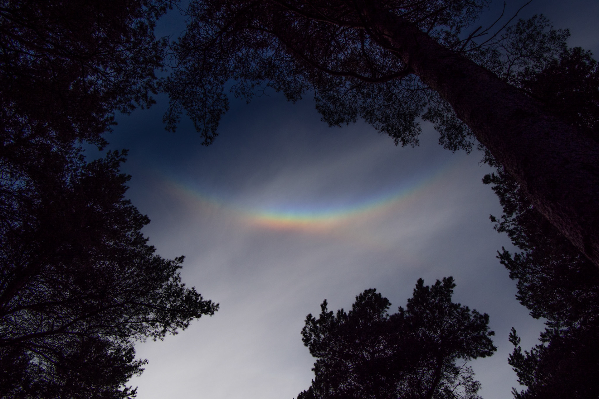 Circumzenithal Arc