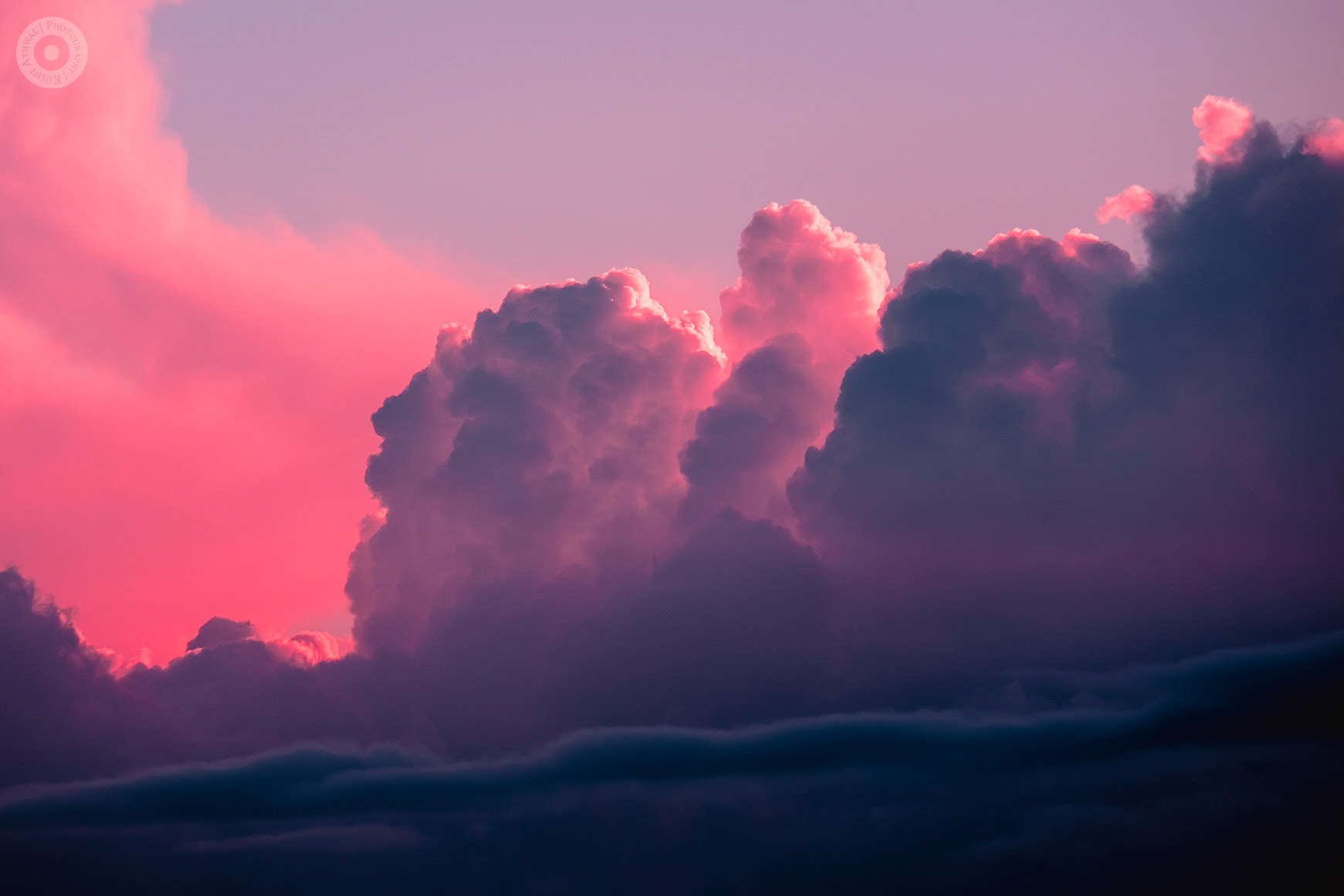 Cotton Candy