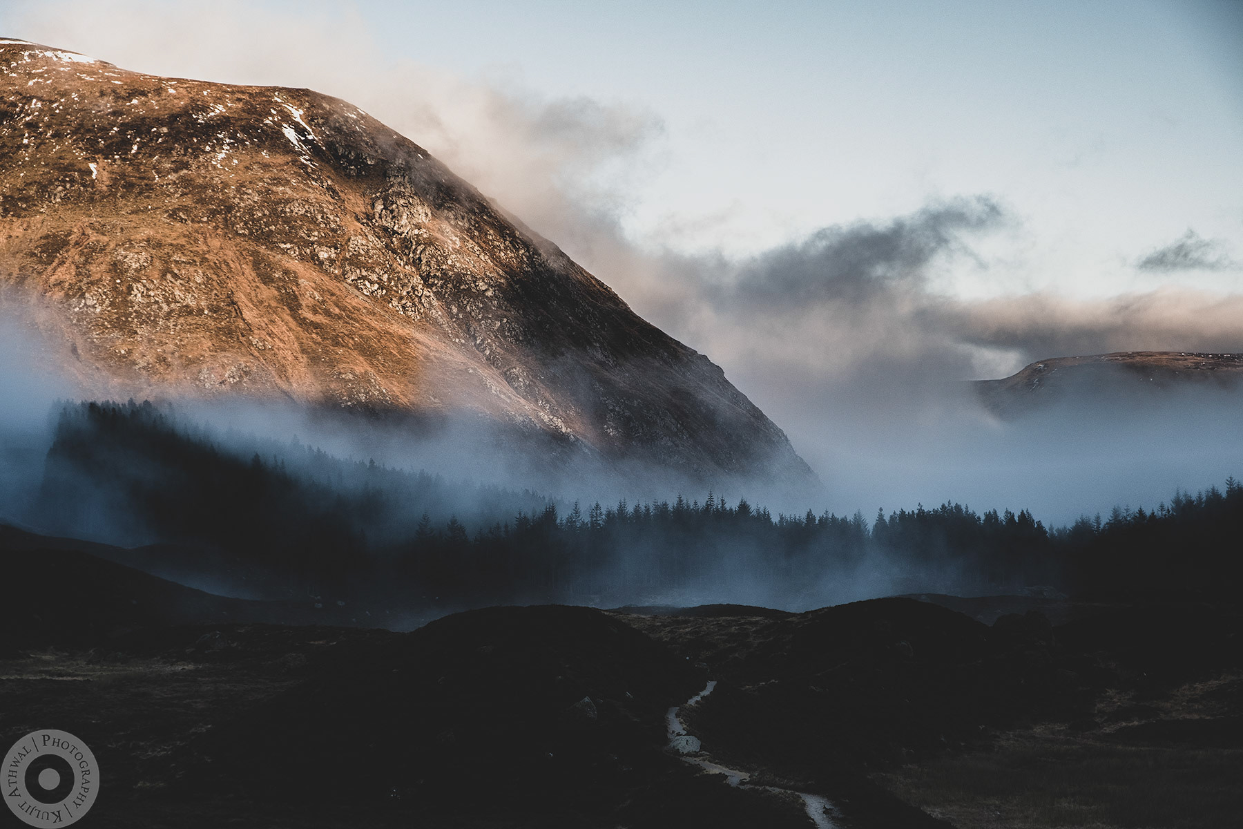 Corrie Fee