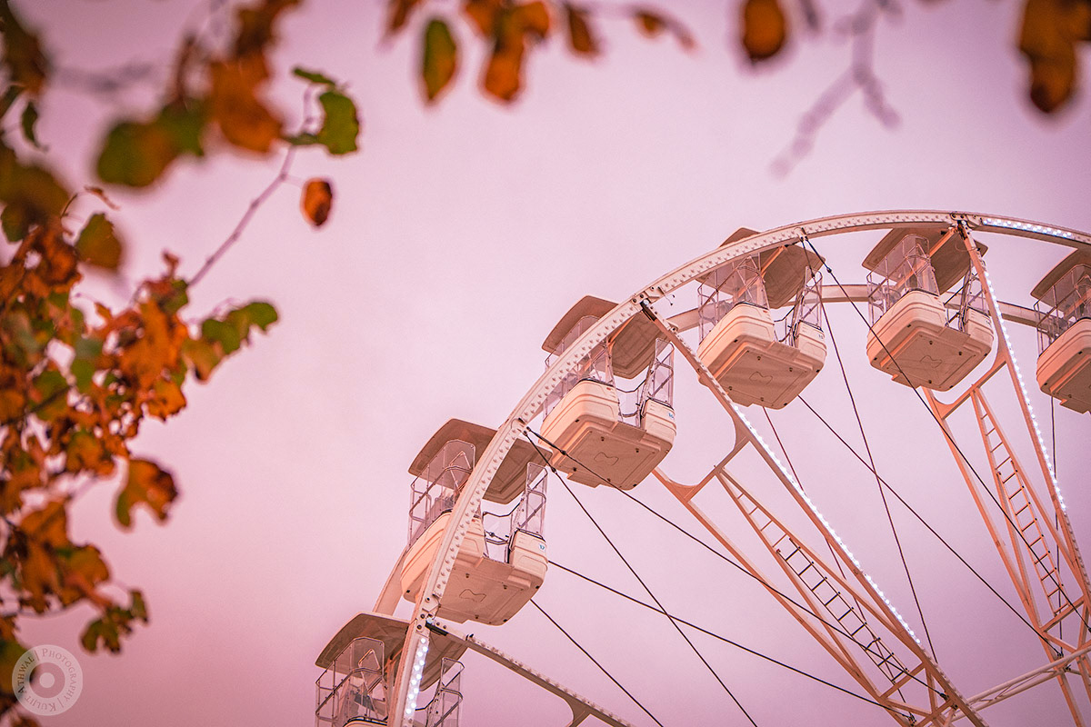 Slessor Gardens Ferris Wheel