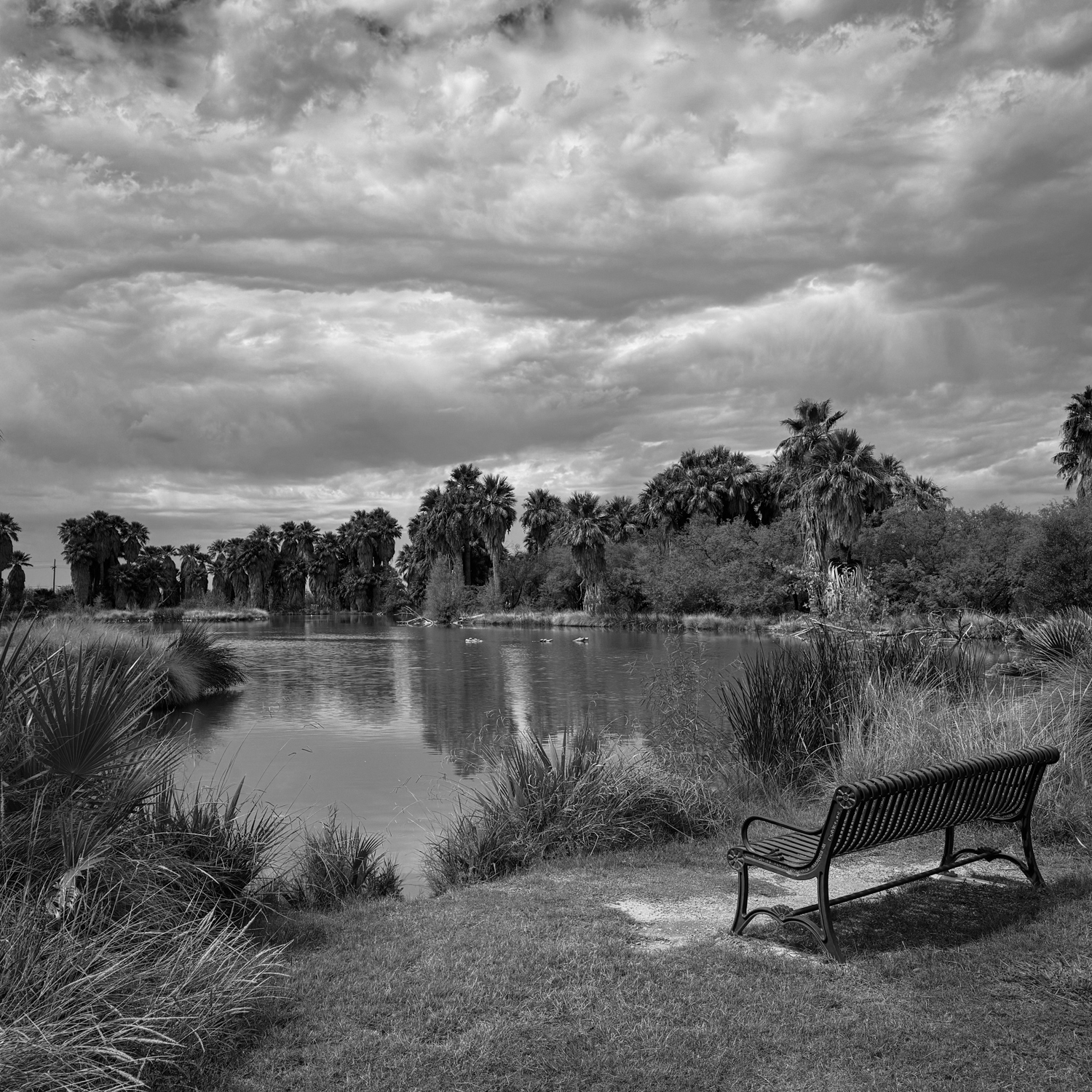7.) The Monsoon: Stillness Before the Storm