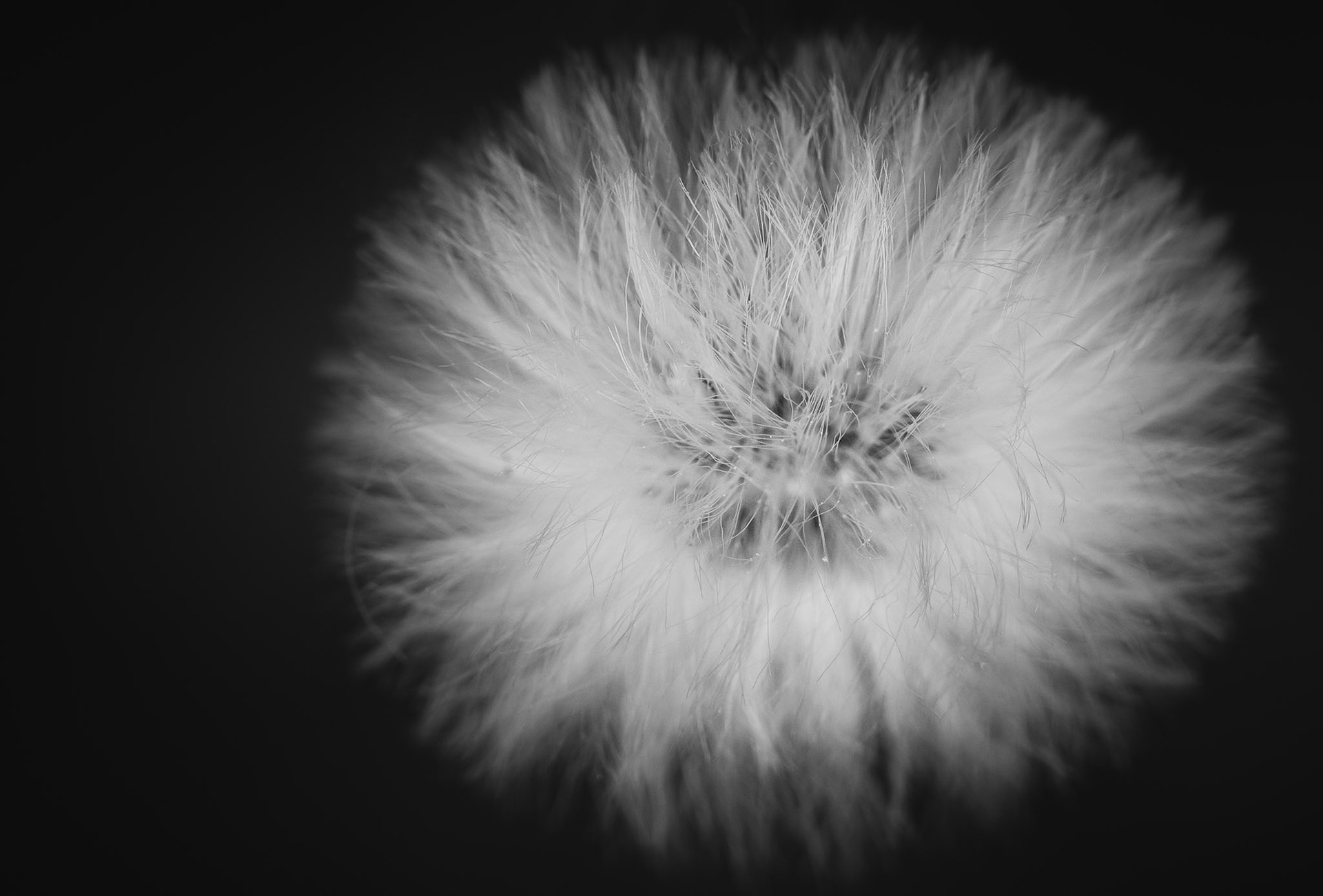 Digigraphie SerieA. Epson Hot Press Bright 432x330 Serie 101. Printed: 2018-06-07 Place: Jenny Öhman