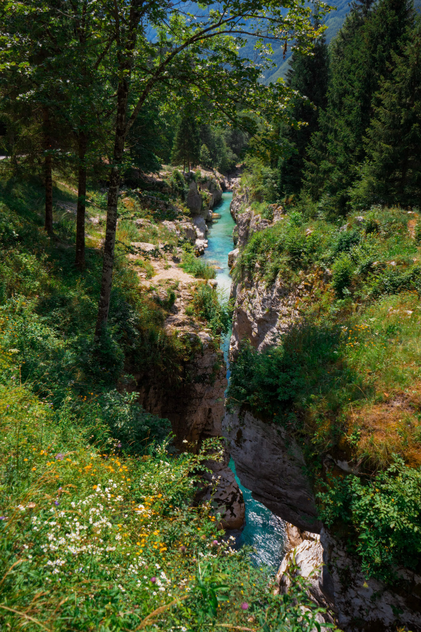 Fluss durch Soca