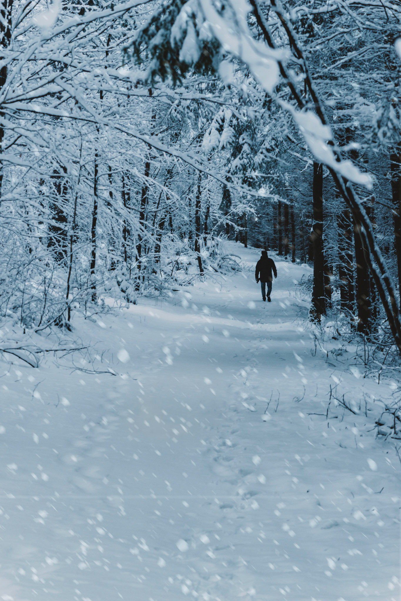 Winterspaziergang Ruppersdorf