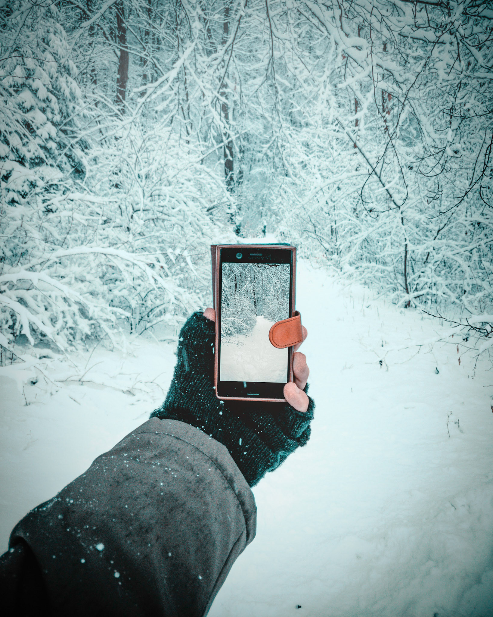 Wintertag